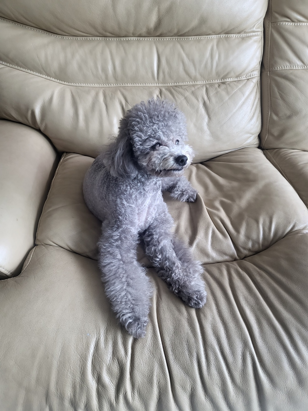빛나라홈케어119본사