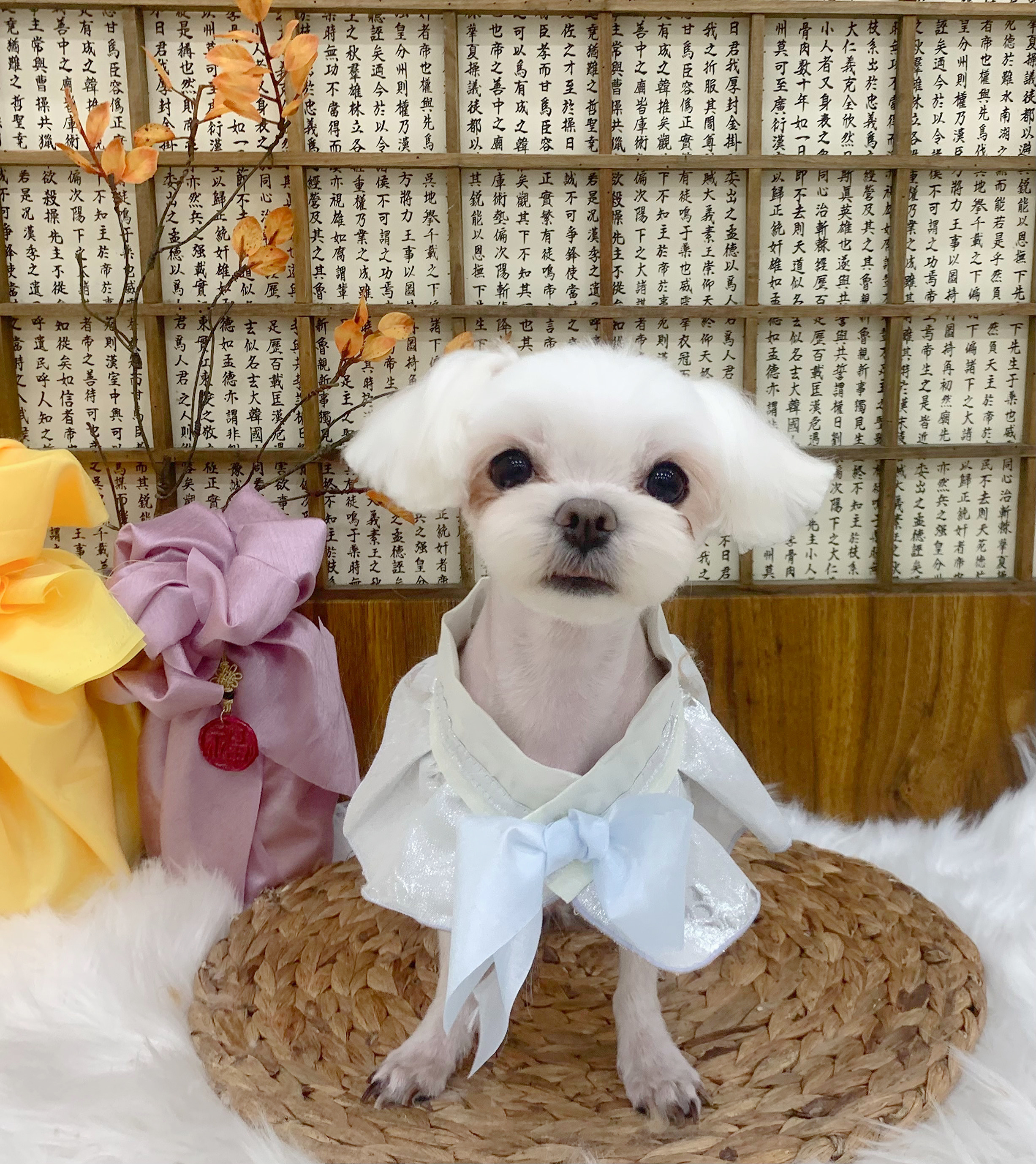 모아몽 대표 이미지