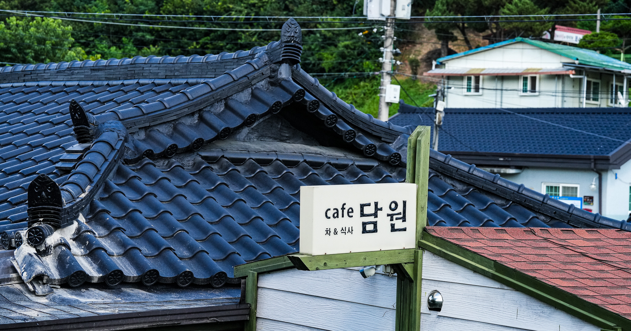 카페담원 경상 애견맛집