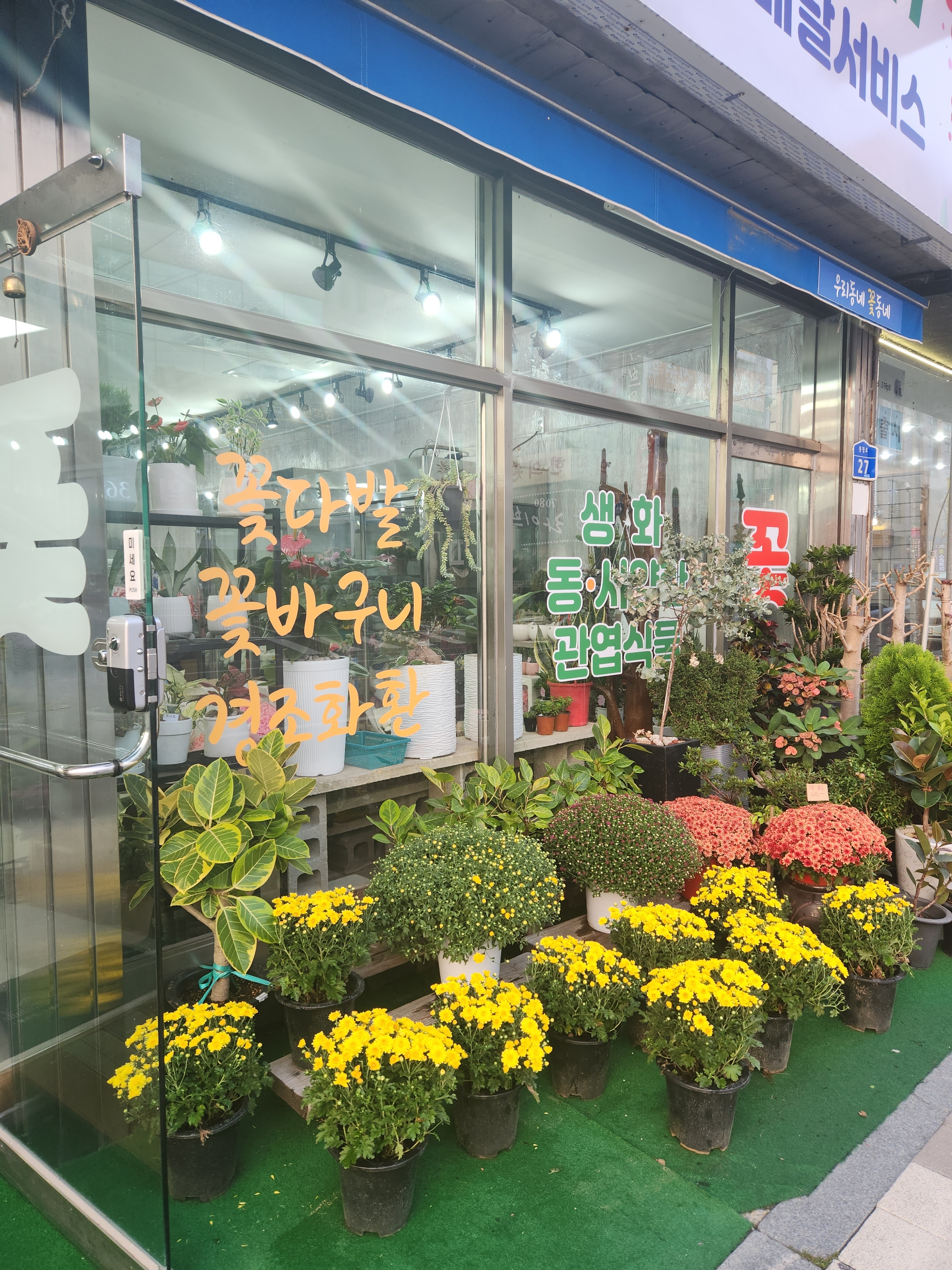 우리동네꽃동네