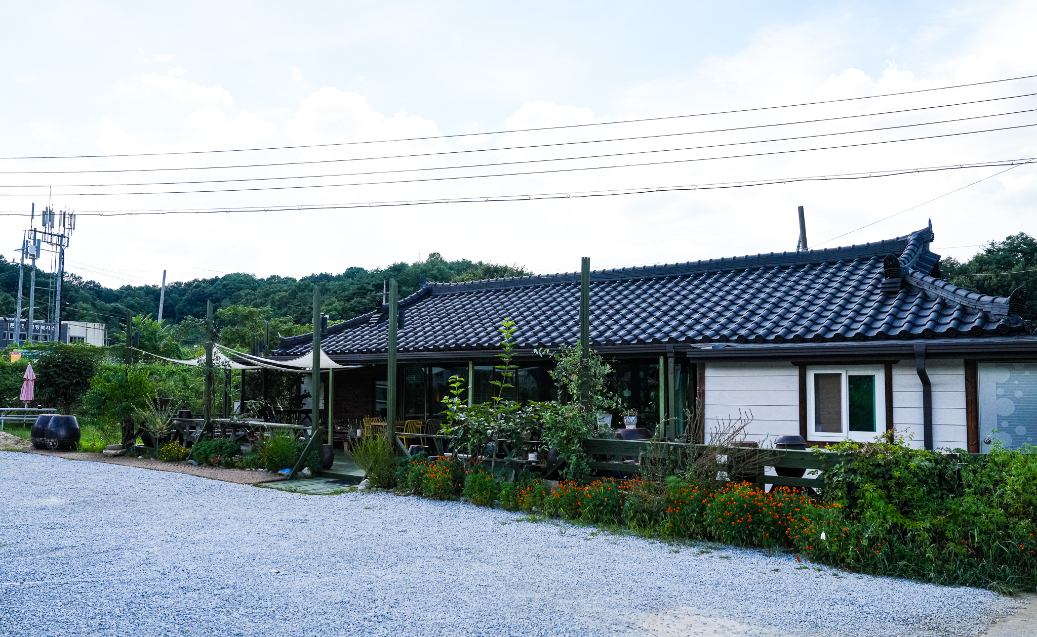 카페담원 3