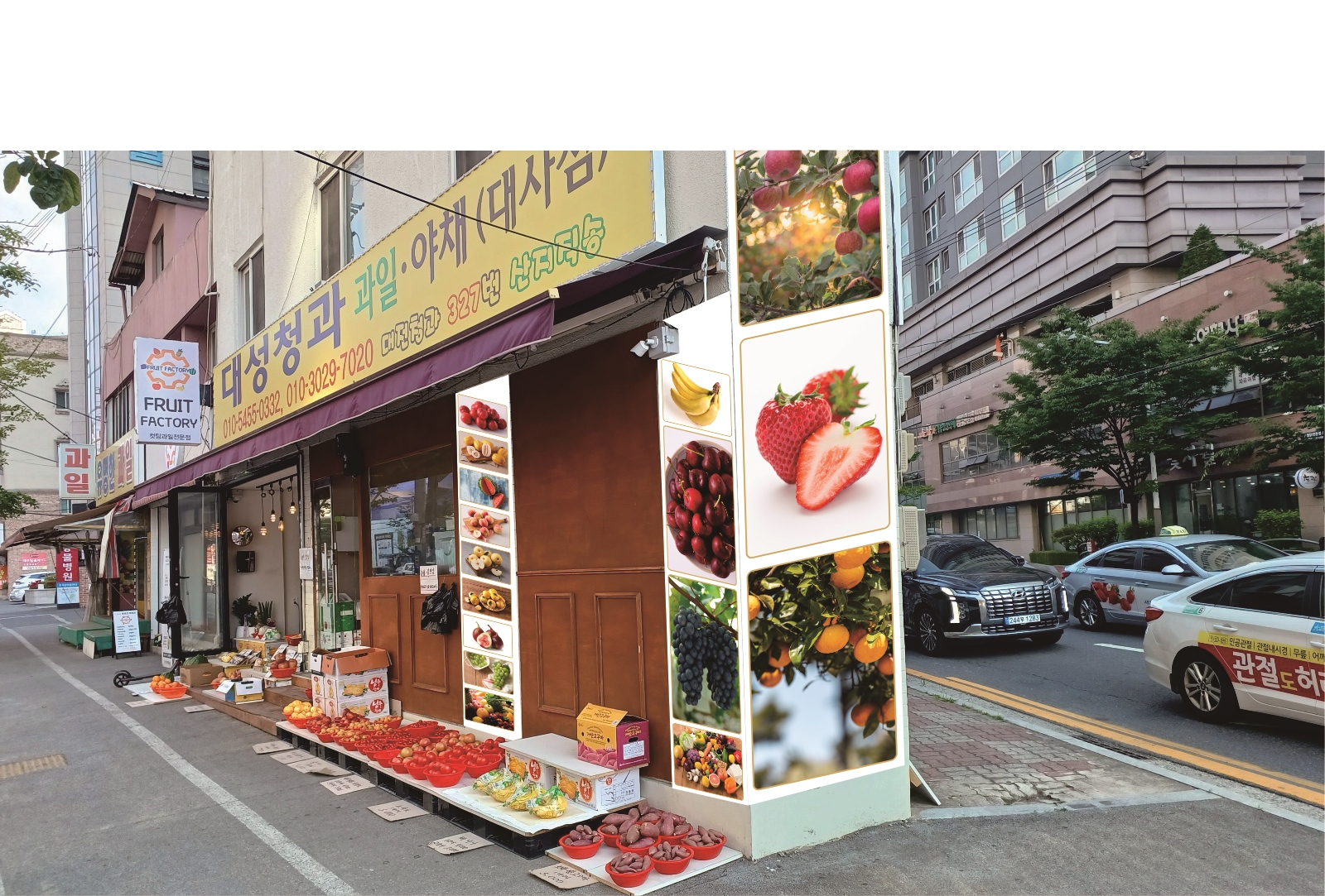 대성청과