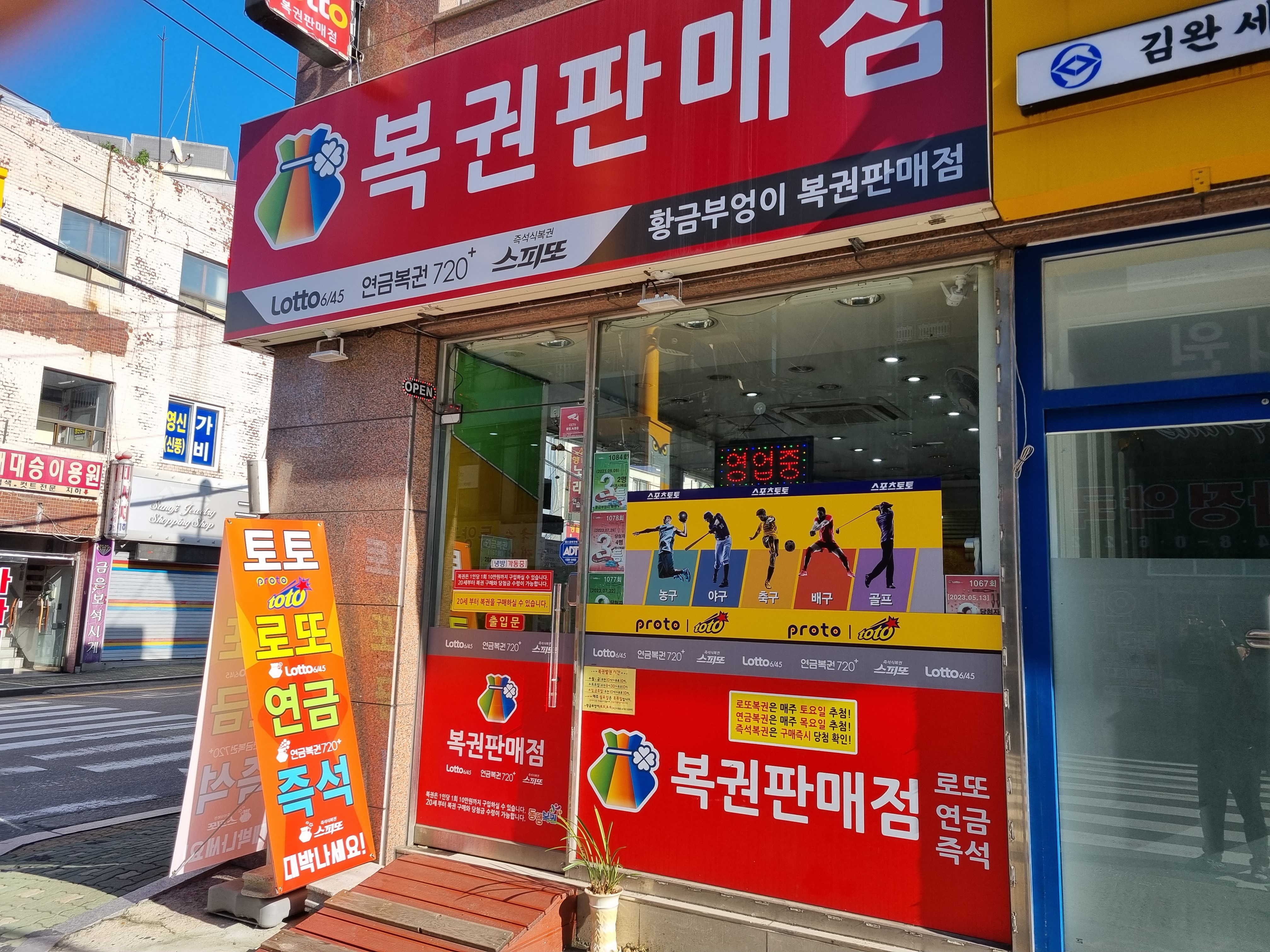 황금부엉이