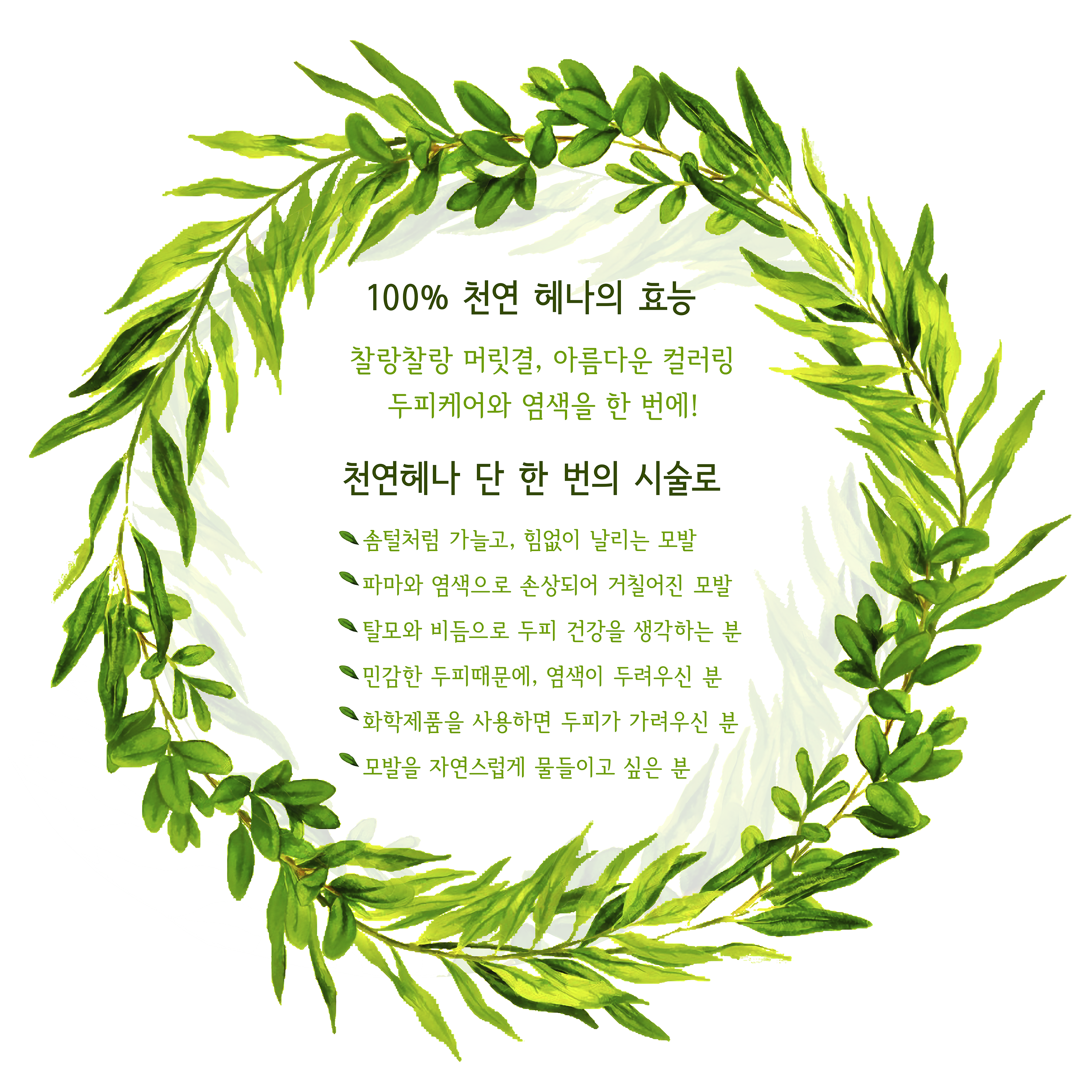 샤플리 헤어