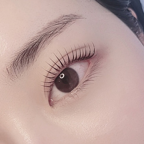 컬리블리 대표 이미지