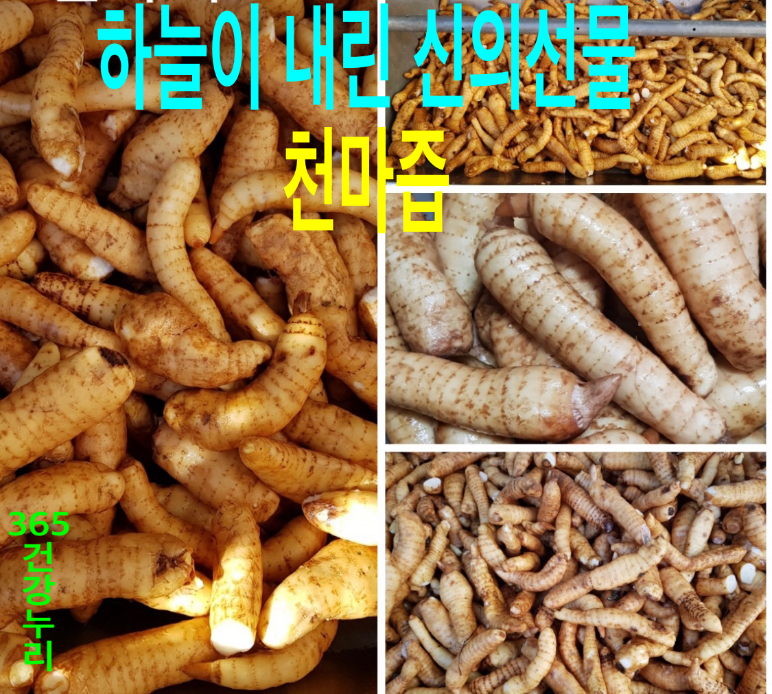 365 건강누리