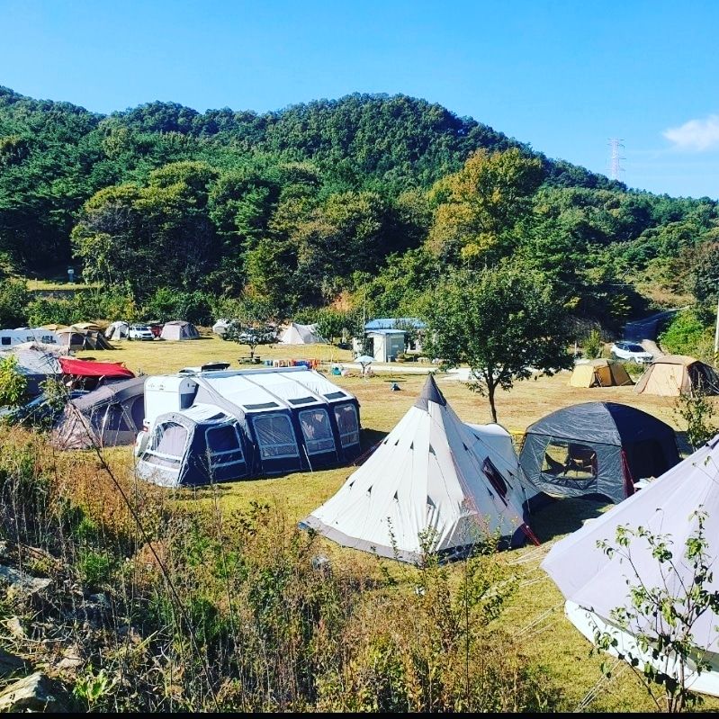 숲속의관광농원