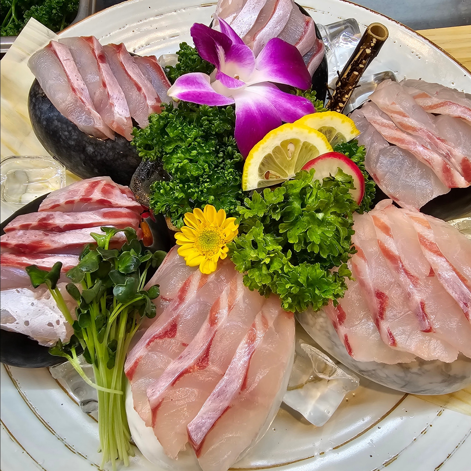 능성어 회 (1인)