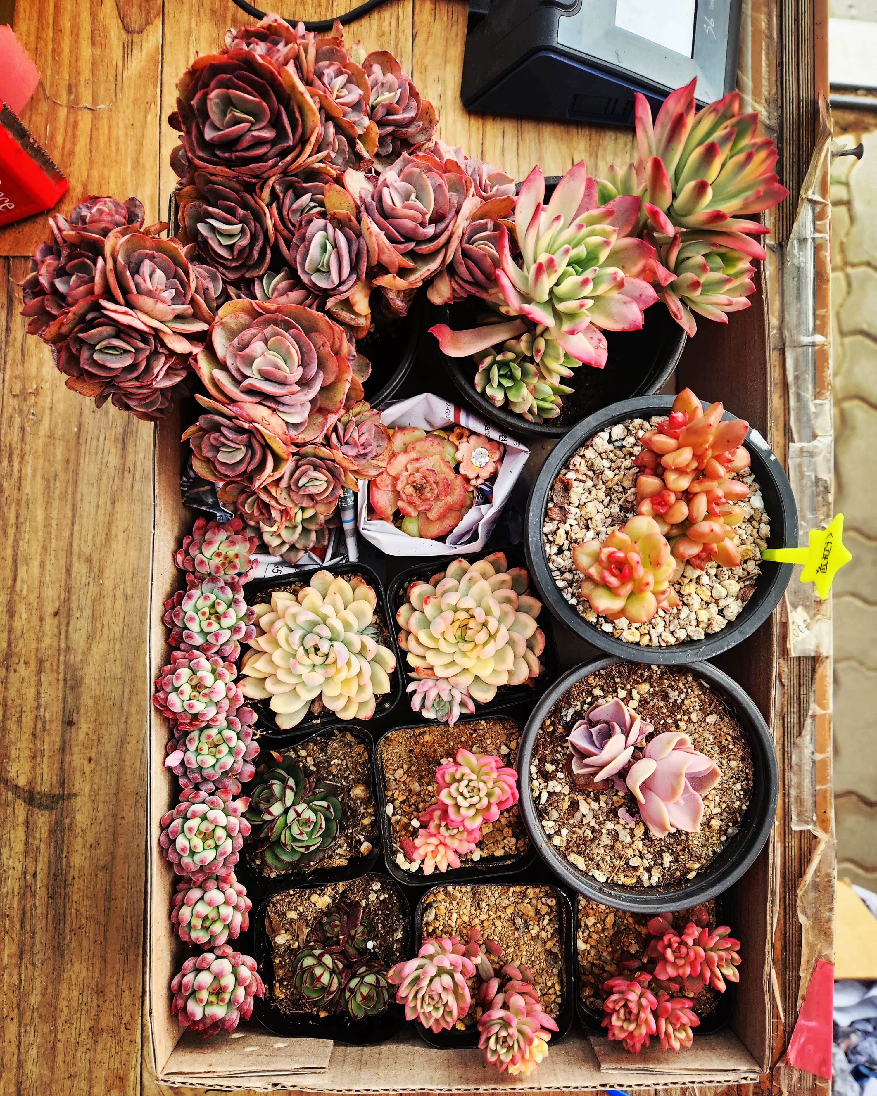 아뜰리에