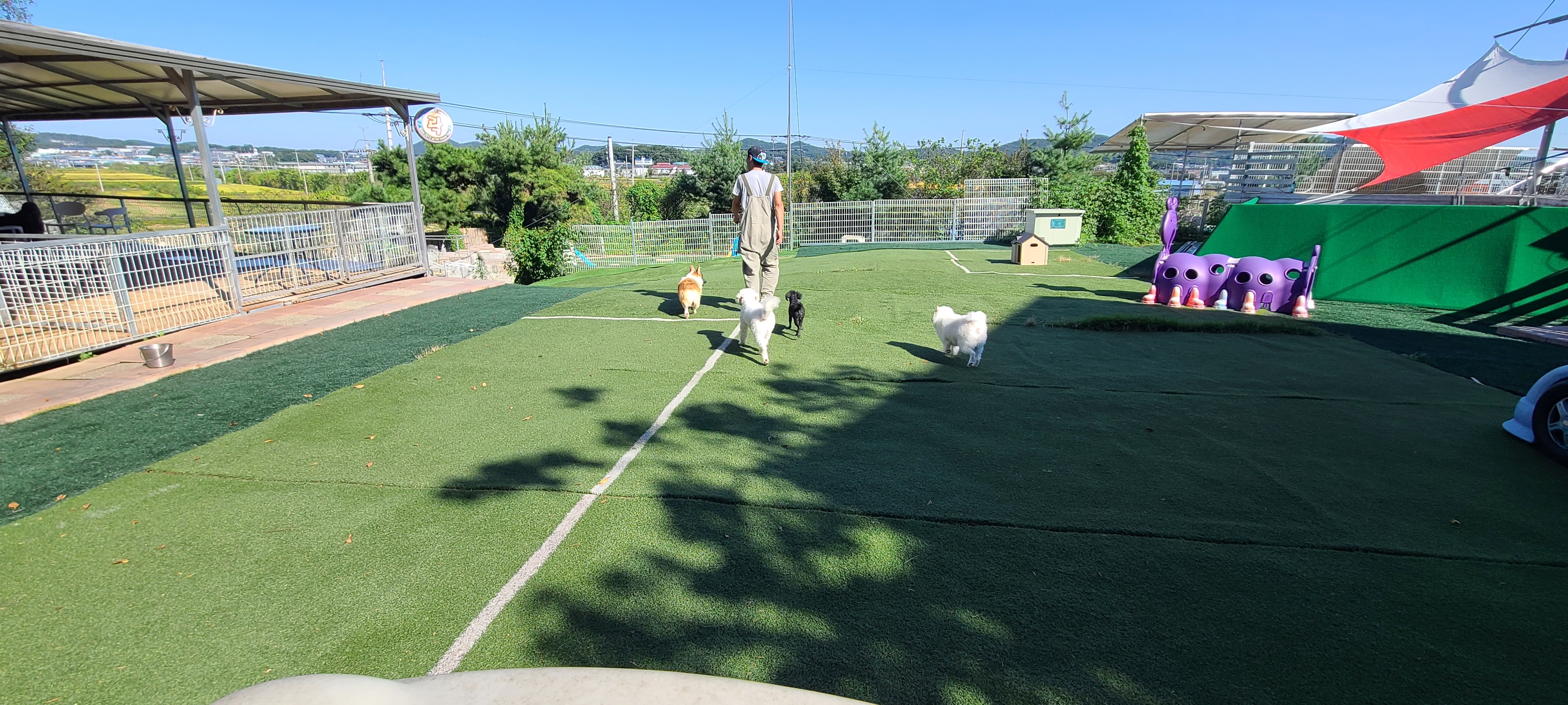 강아지유치원&애견호텔&강아지교육 락 대표 이미지