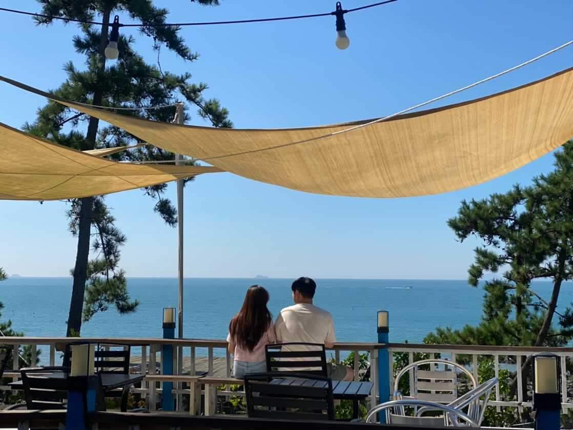 해랑해카페 반려동물 동반 애견카페