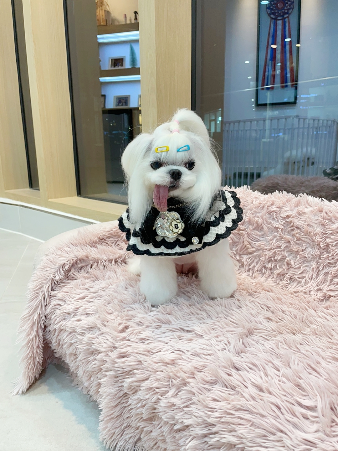 에브리뽀송 대표 이미지