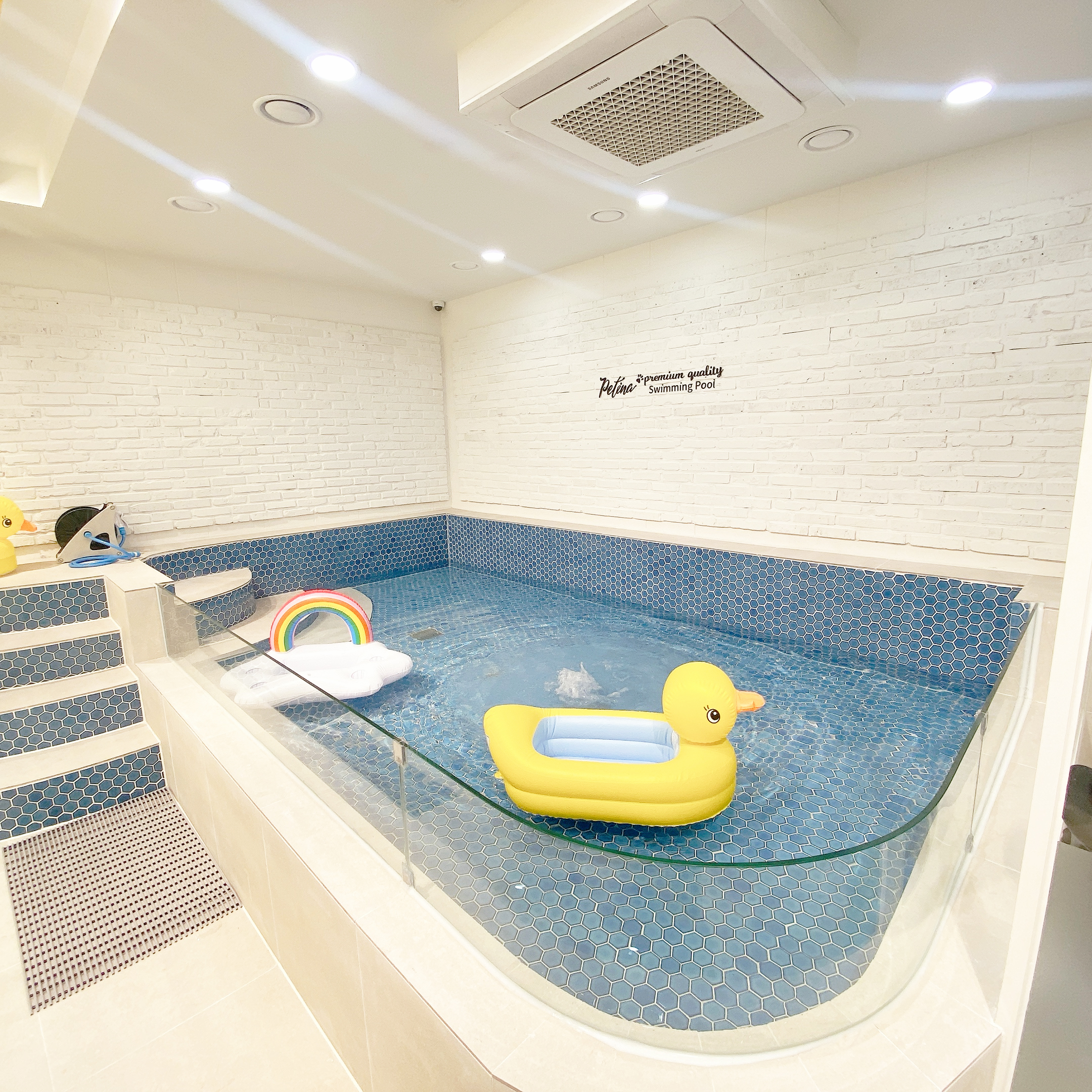 페티나트립 대표 이미지