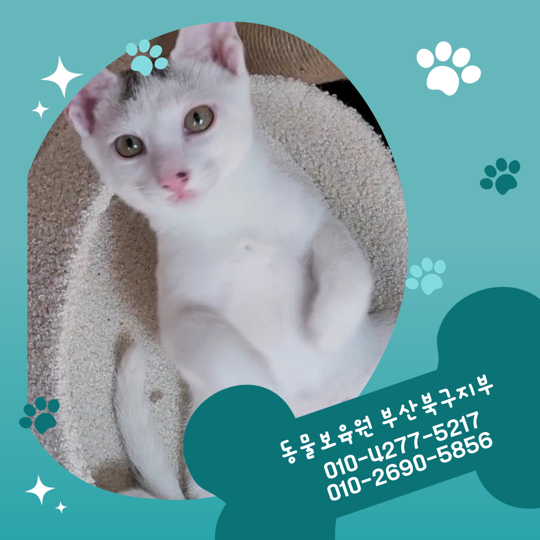 동물보육원 부산지부 대표 이미지