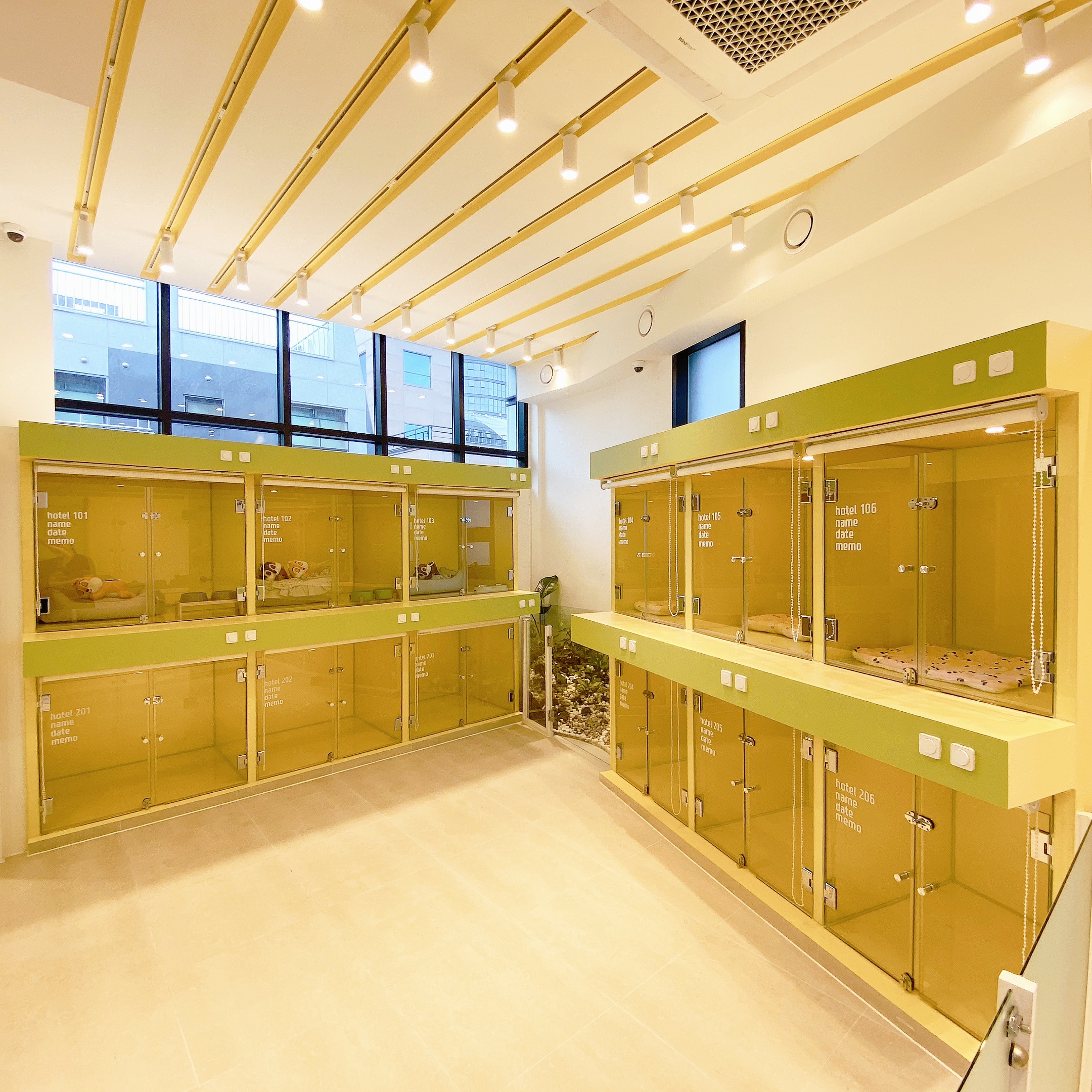 페티나트립 대표 이미지