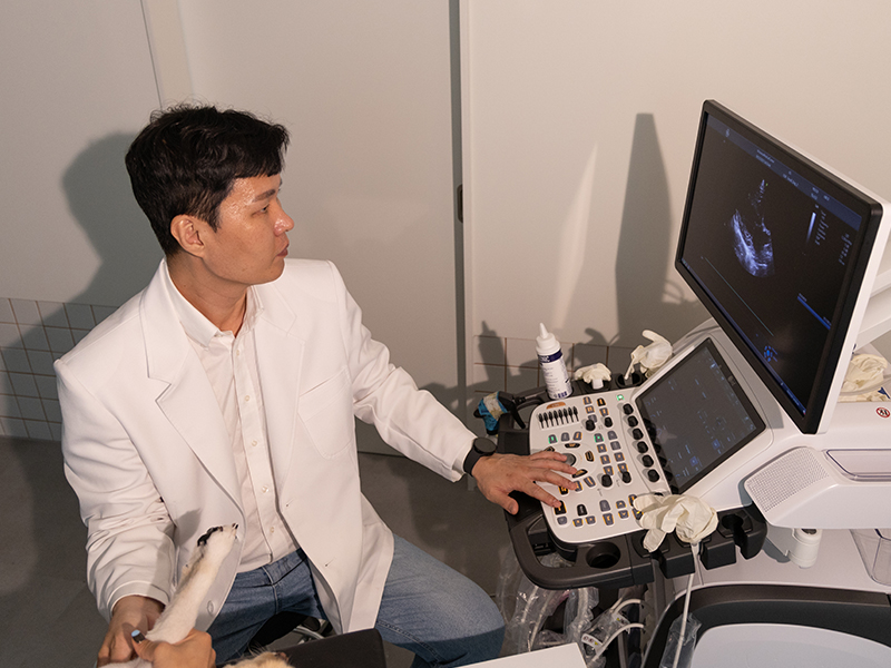 더블유동물심장병원 대표 이미지