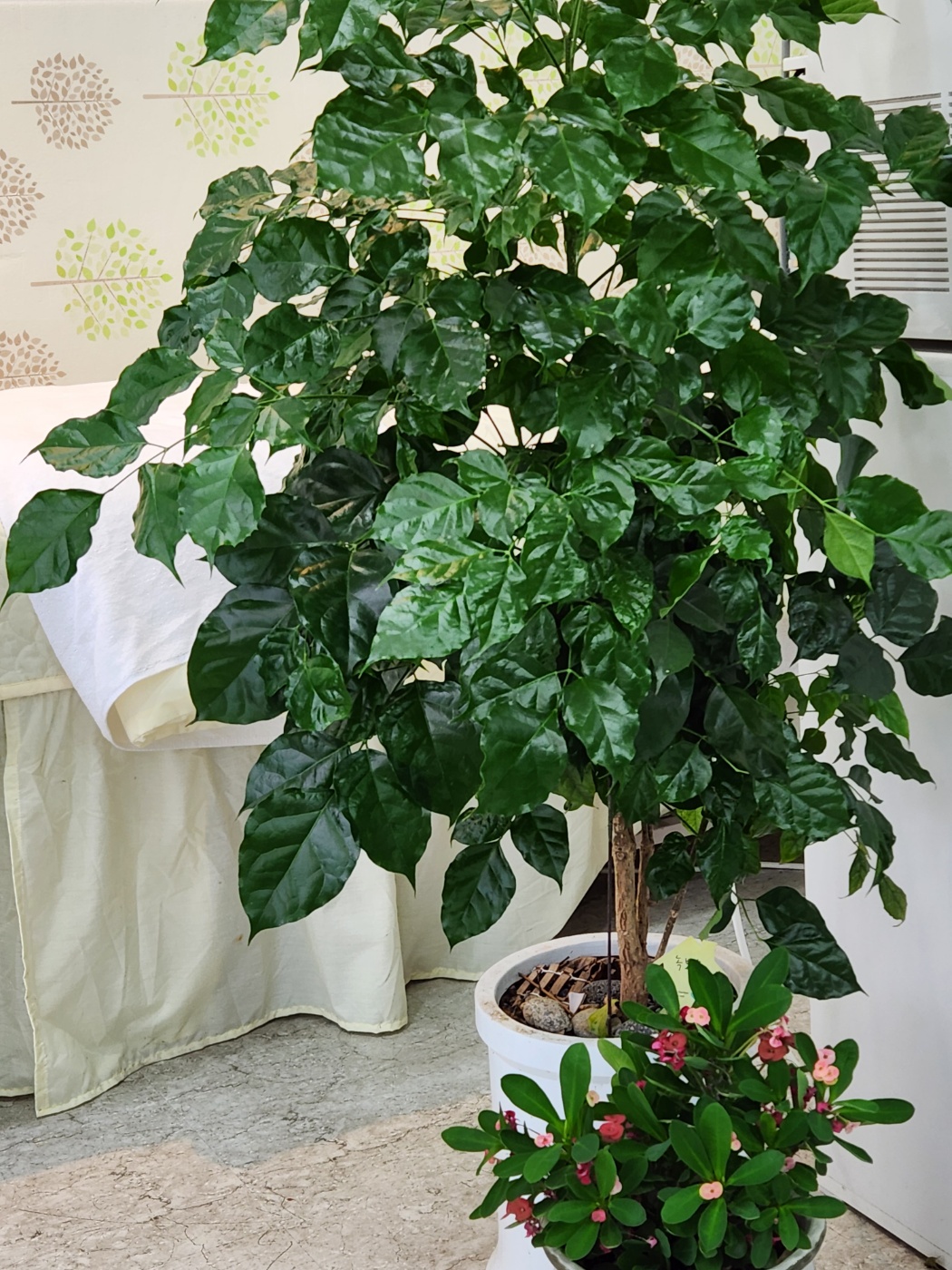 해피헤어 photo 6