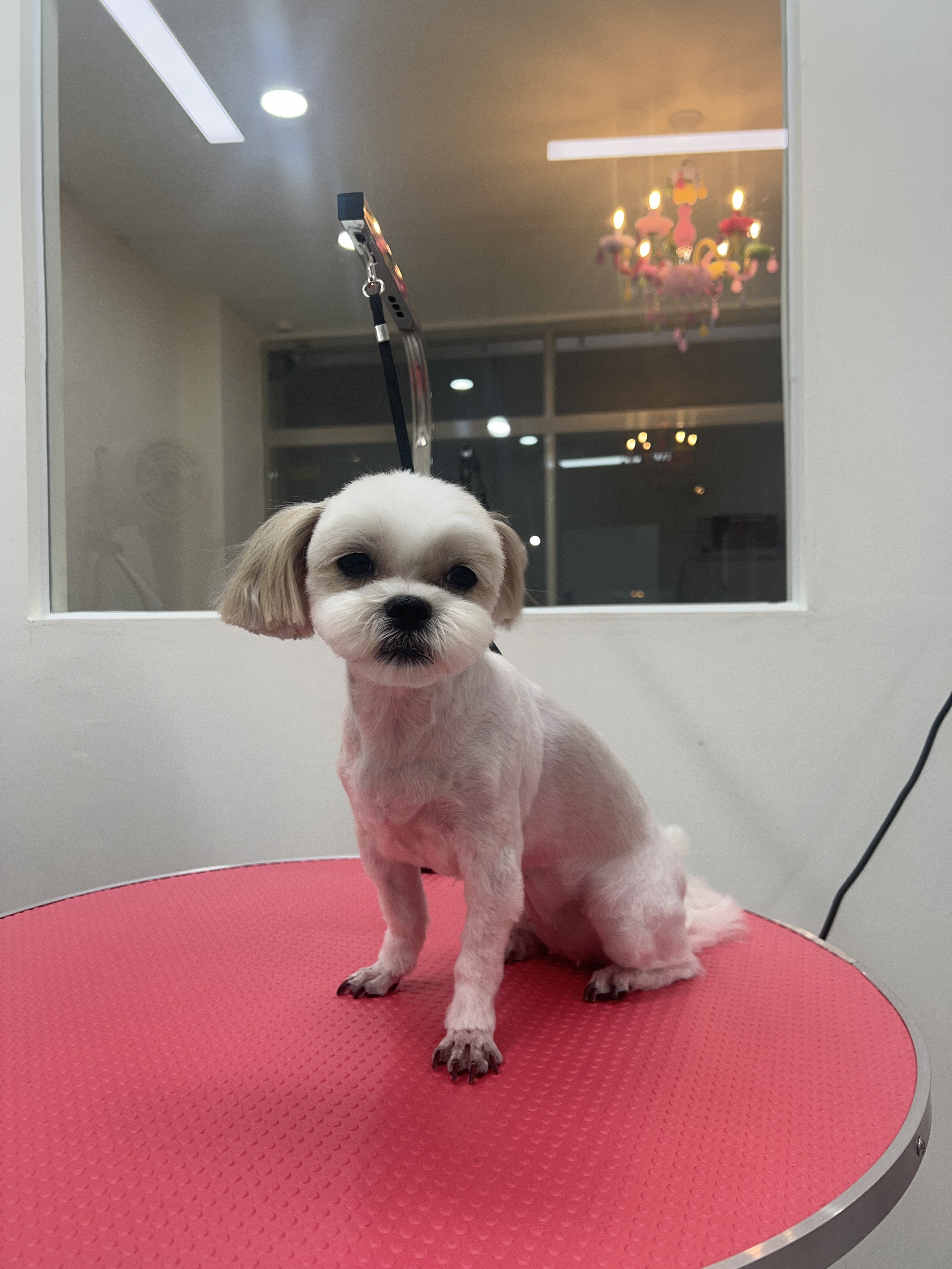 오늘도예쁘개 대표 이미지