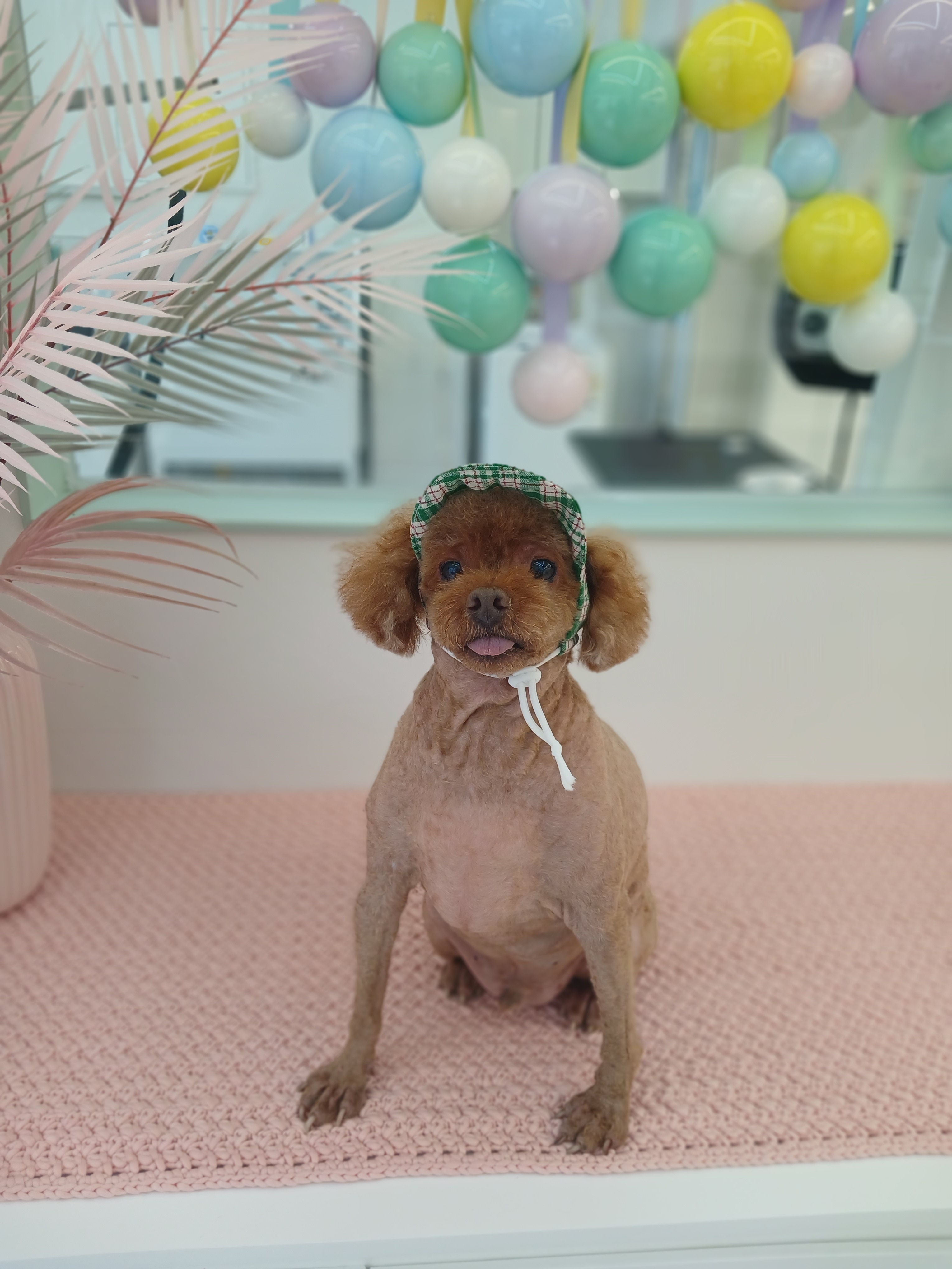 모아독 대표 이미지