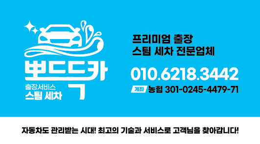 출장세차