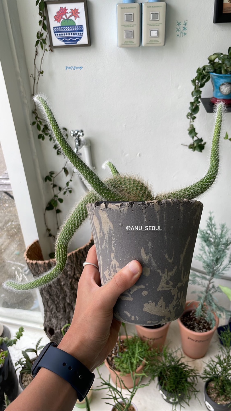팟샵