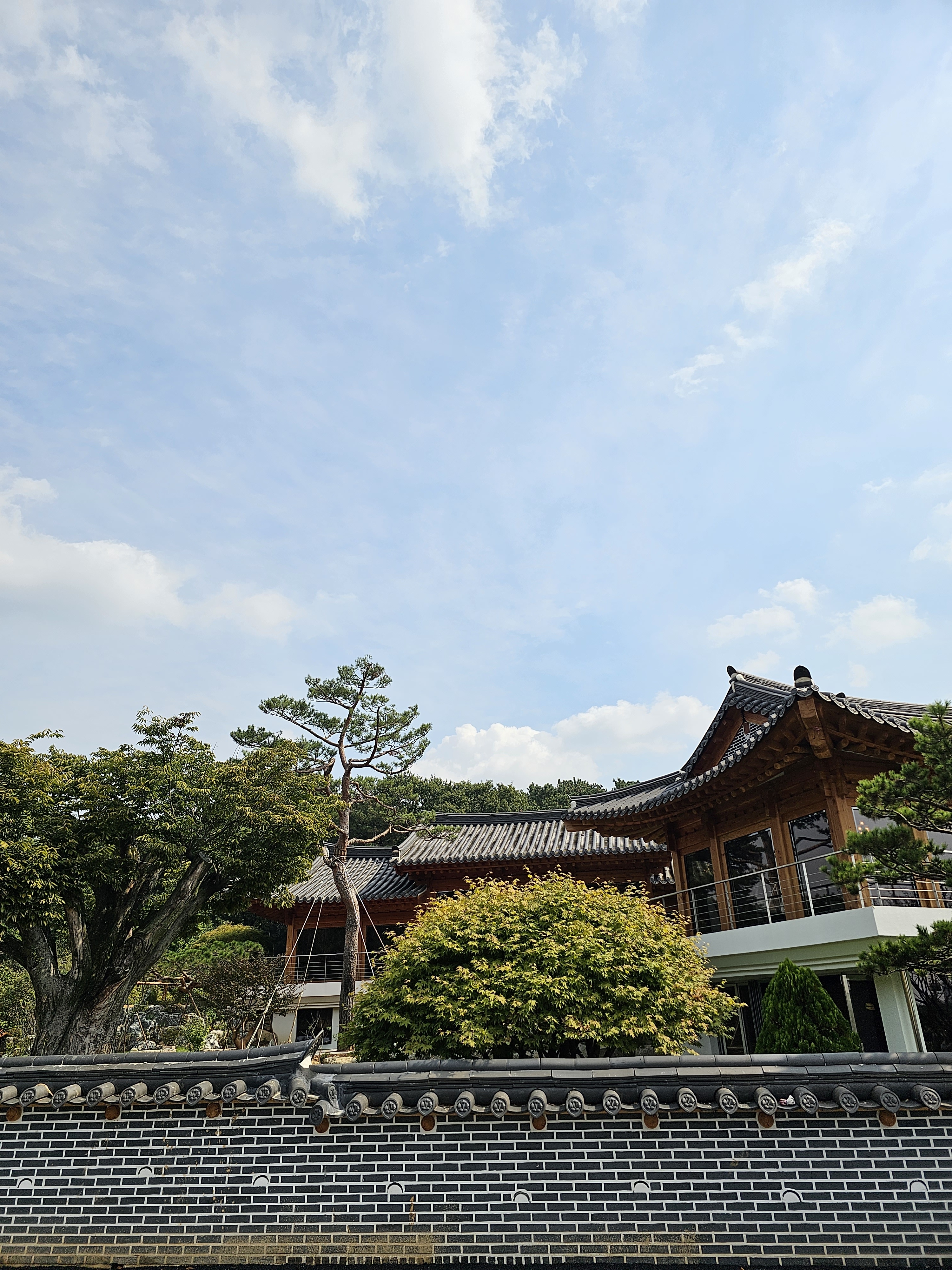 더포레스트 퀸