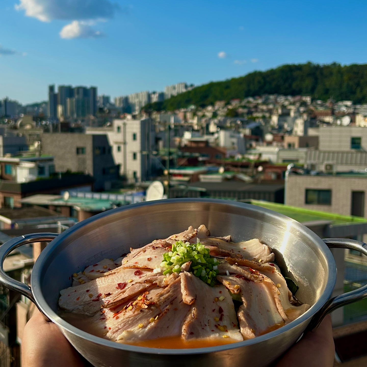 유채색 대표 이미지