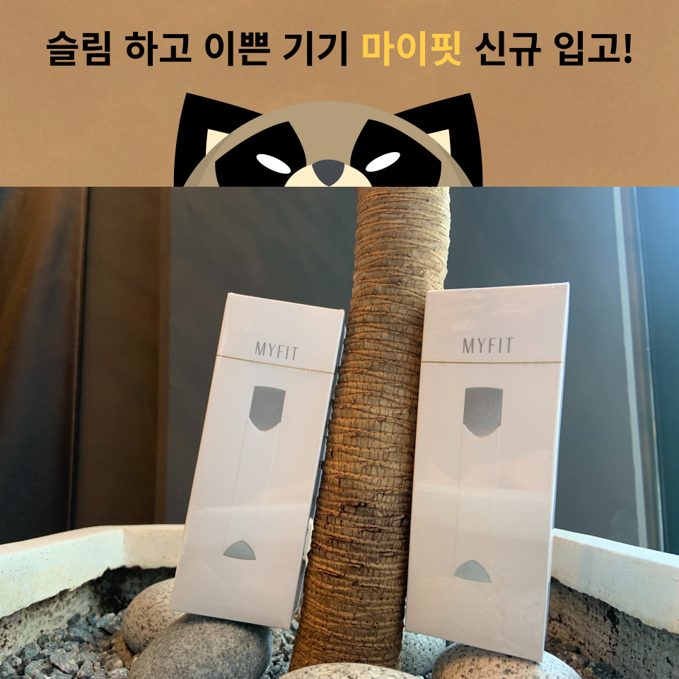 송파 너구리굴 전자담배 문정점