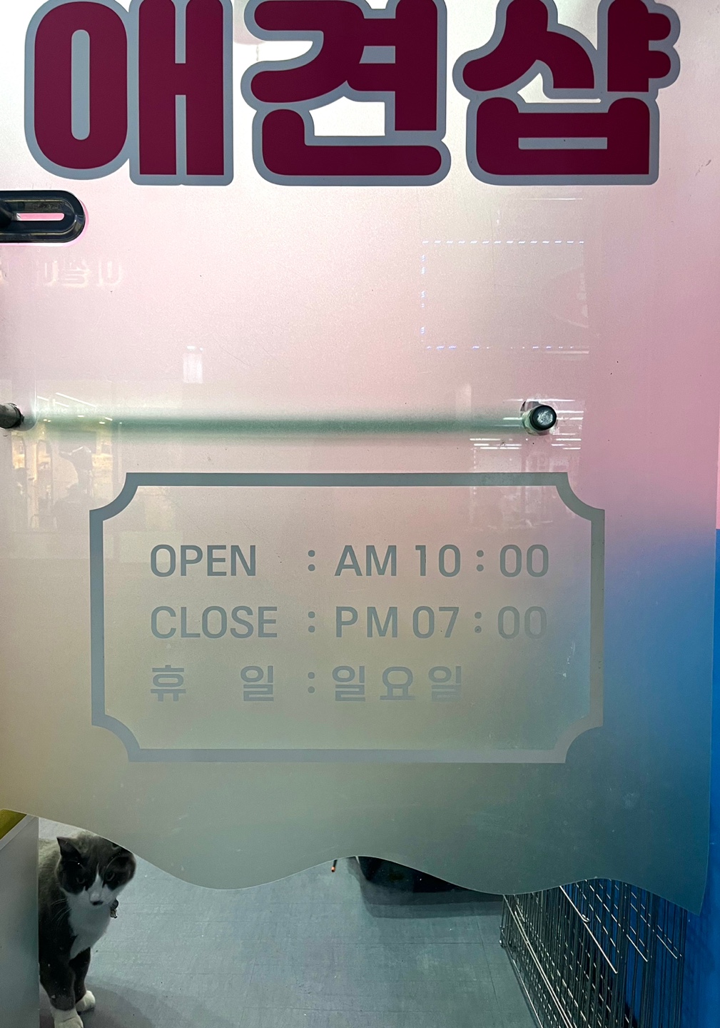 한사랑애견샵 대표 이미지