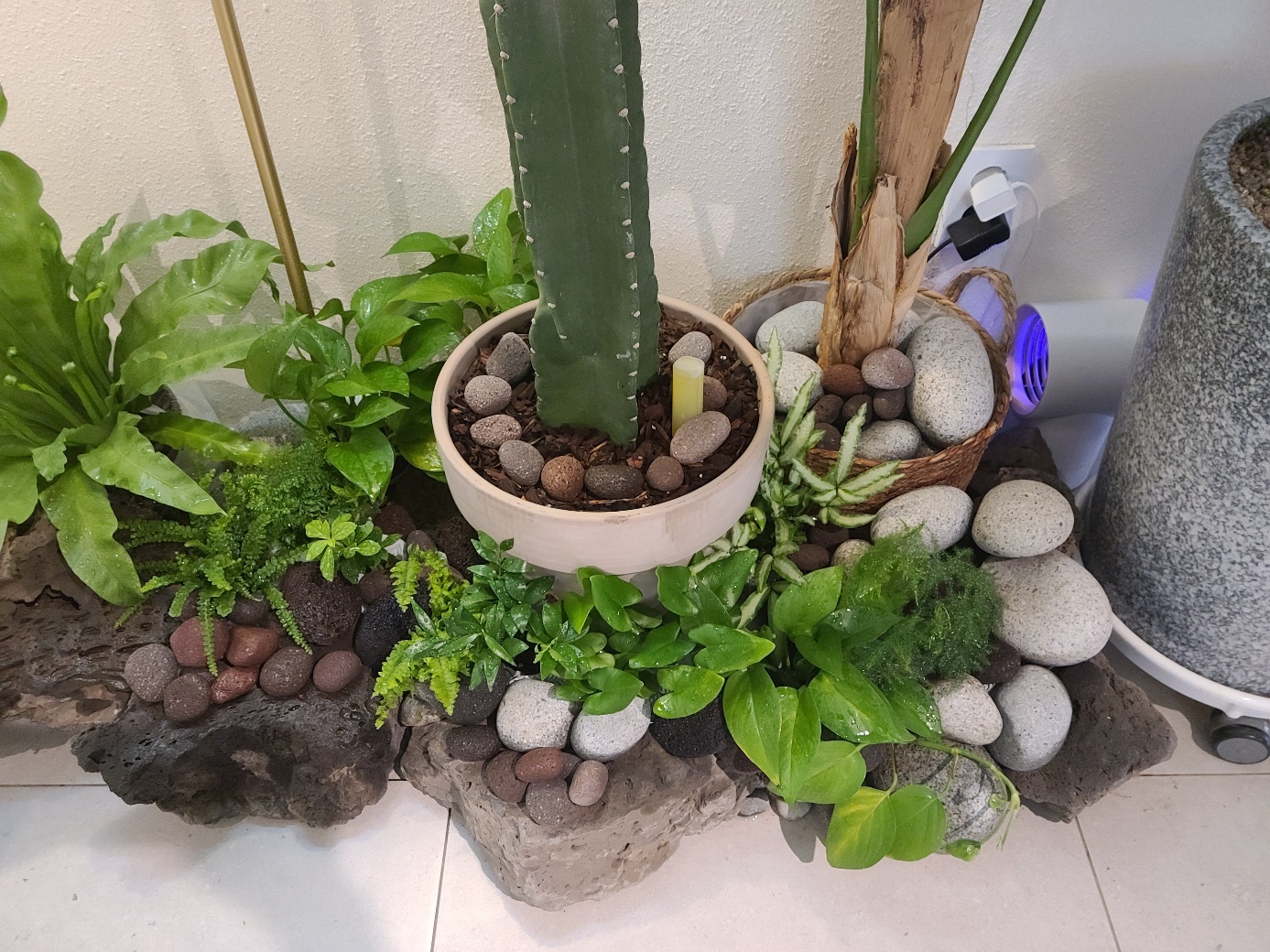 업체사진