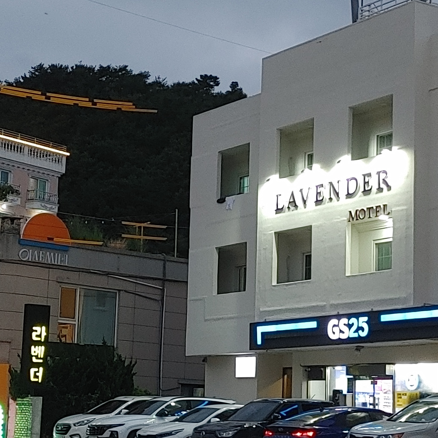 모텔라벤더