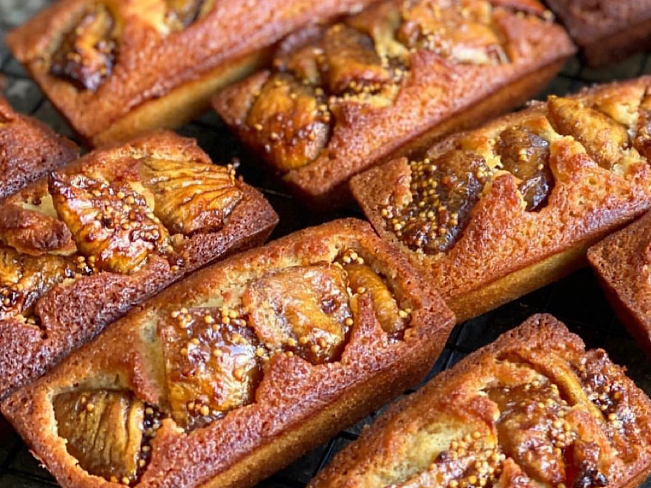 카페코너 반려동물 동반 애견카페