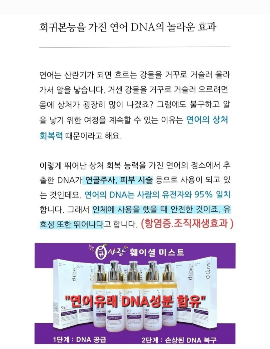 큐사랑 경주지사