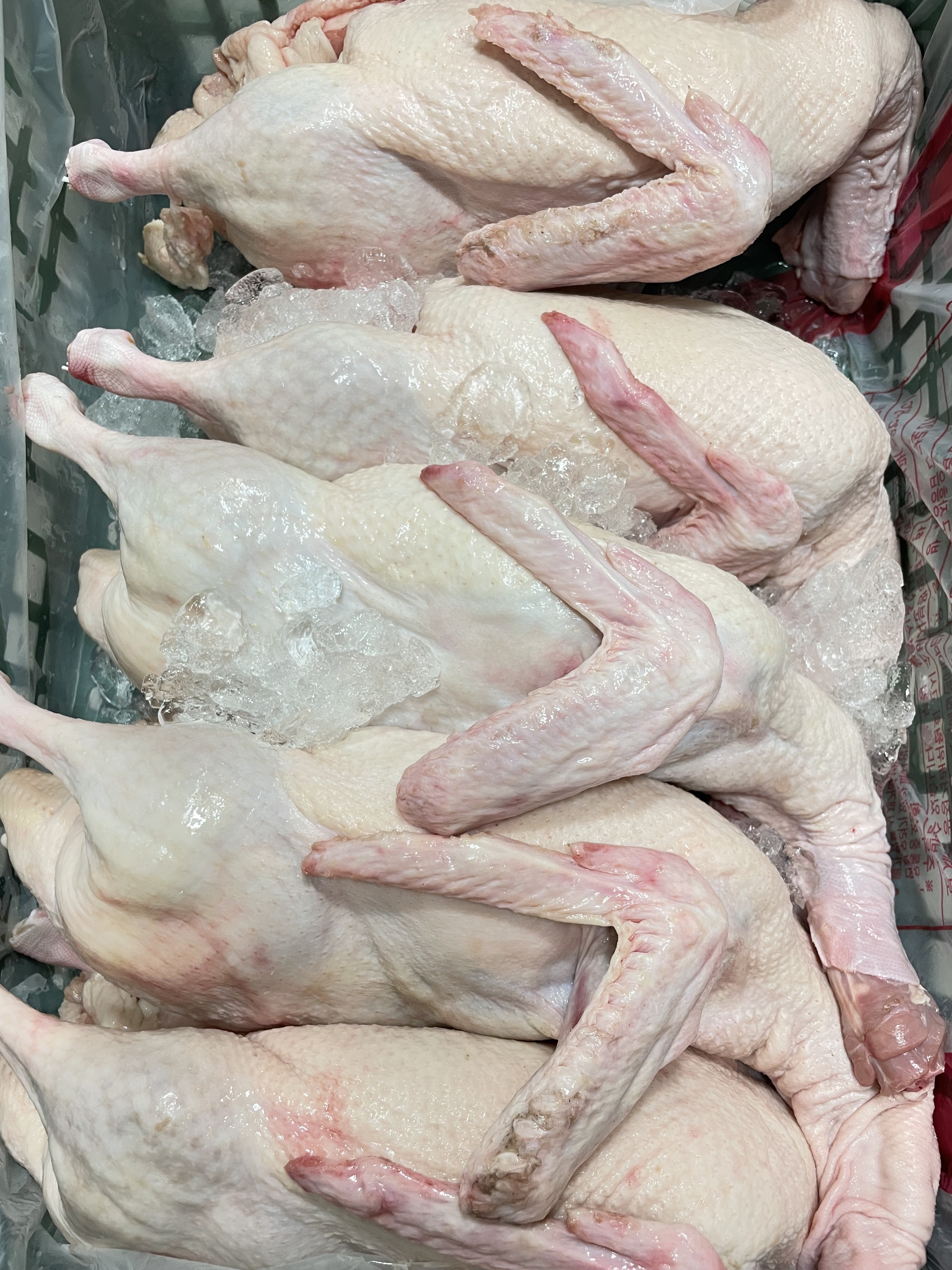 성남남한산성닭집