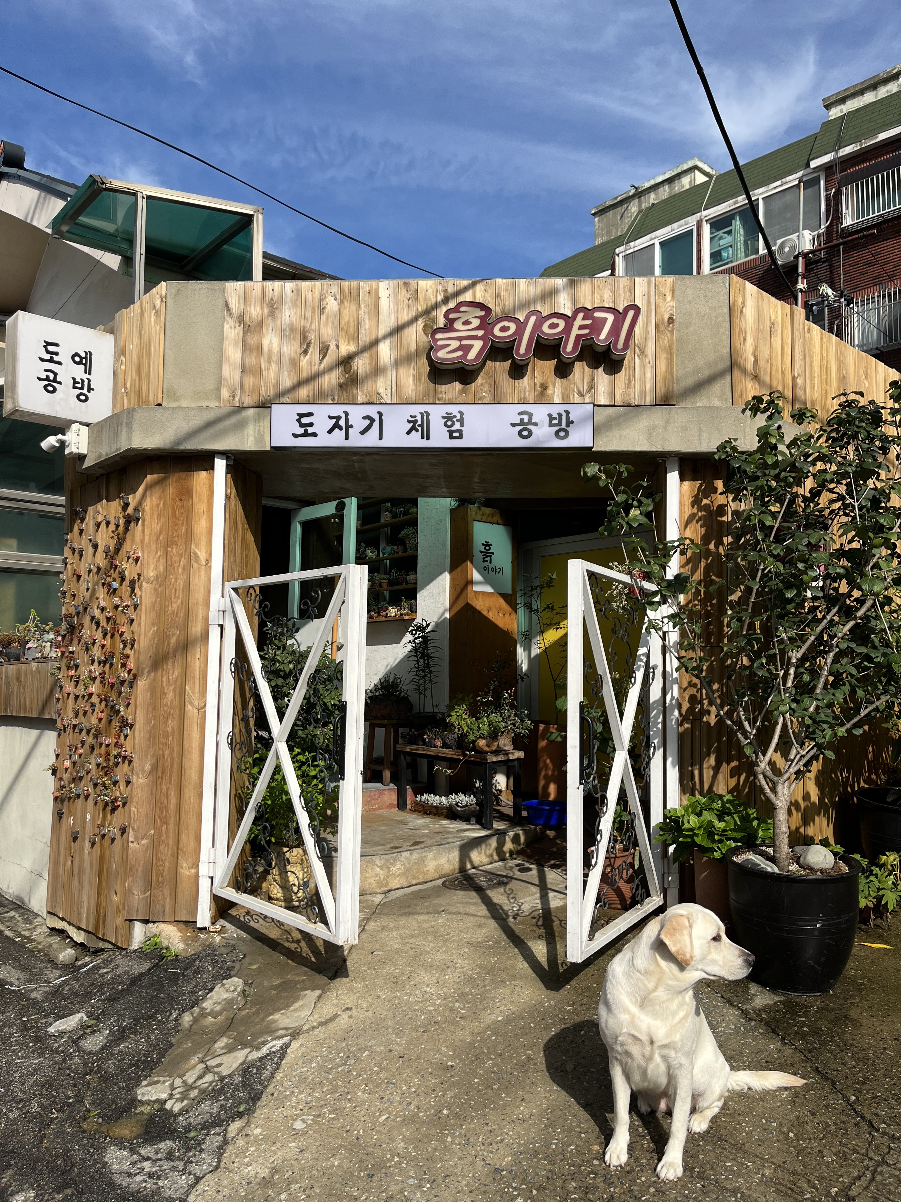 흙이야기