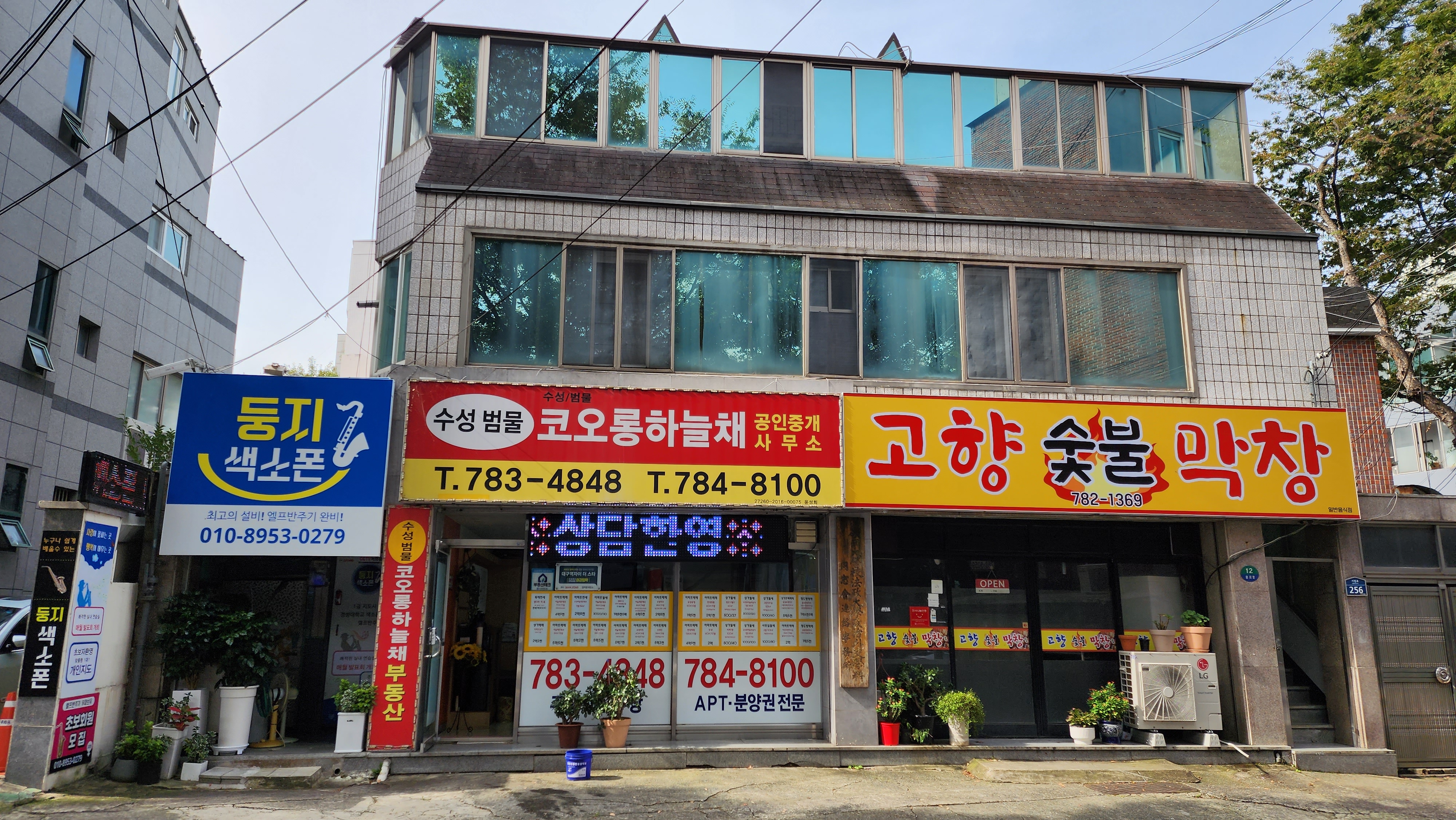 둥지색소폰