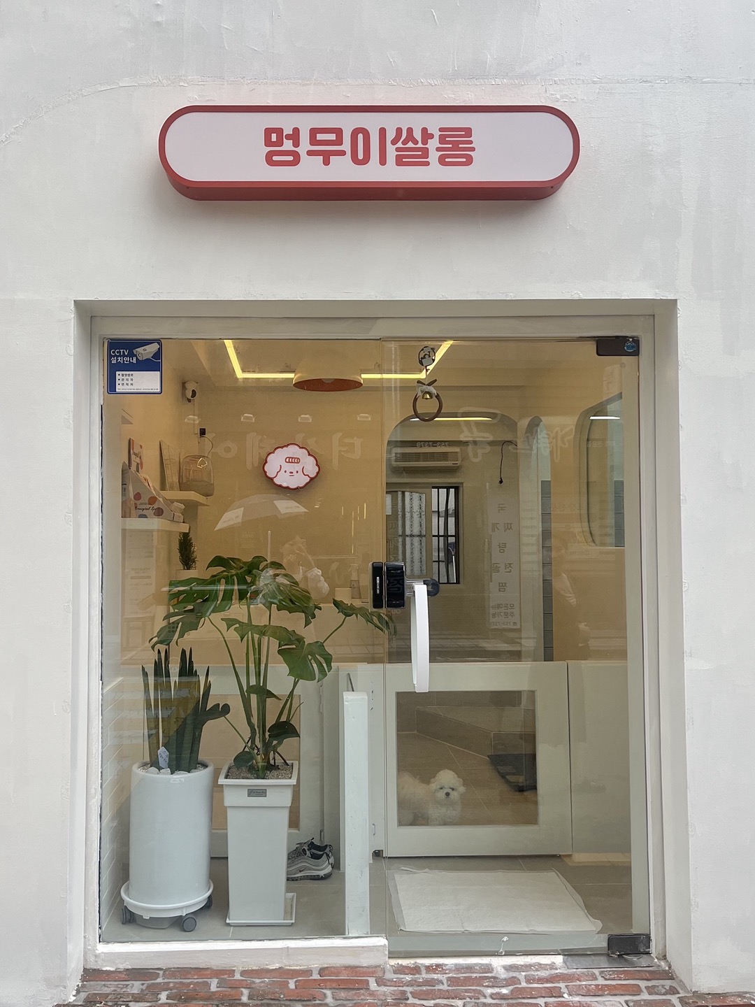 멍무이쌀롱