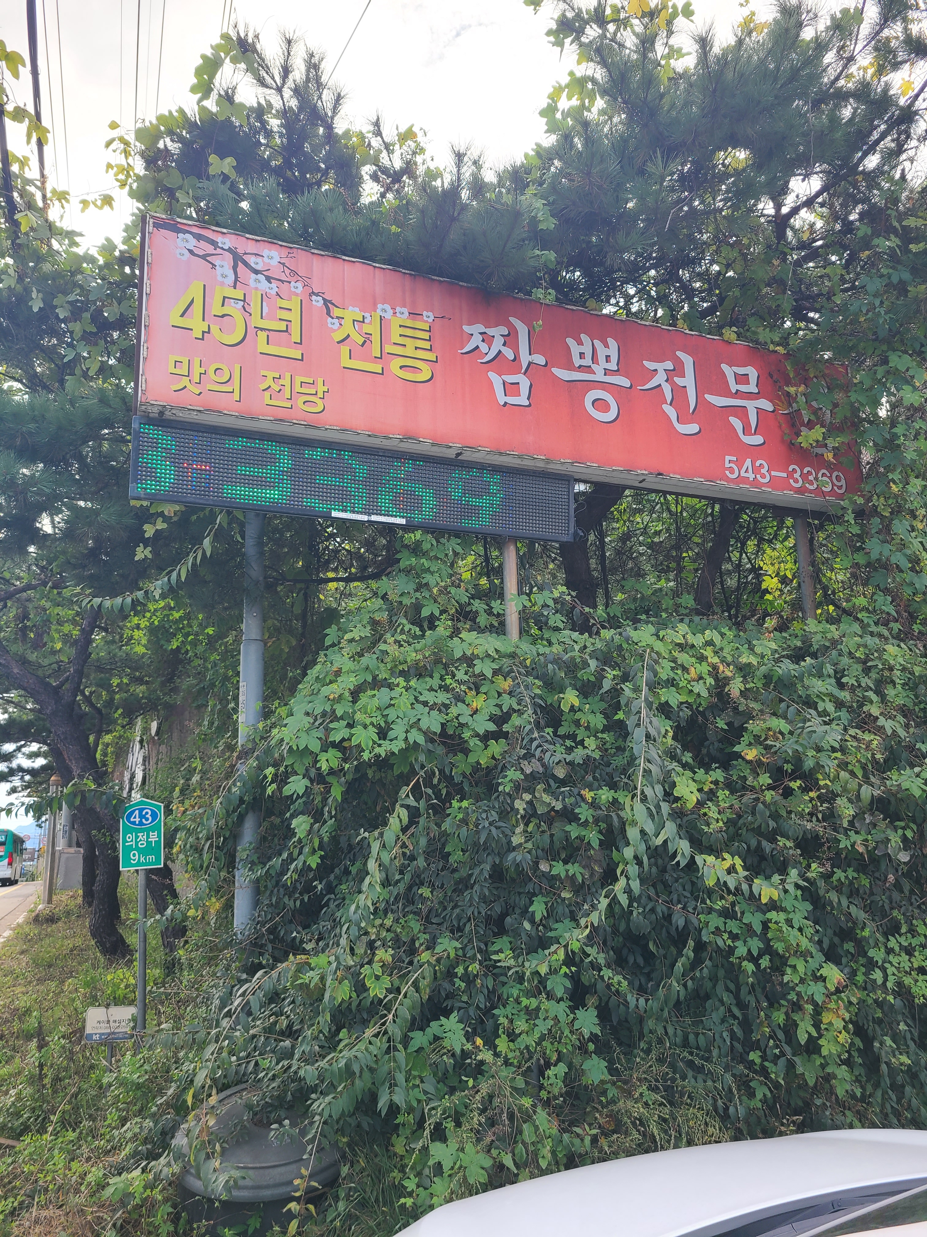맛의전당45년짬뽕전문점