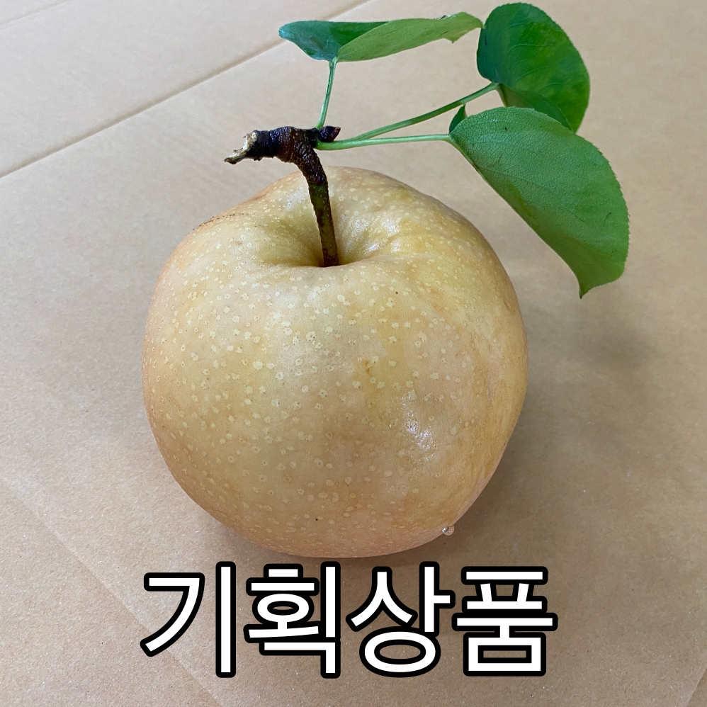 누렁이과수원