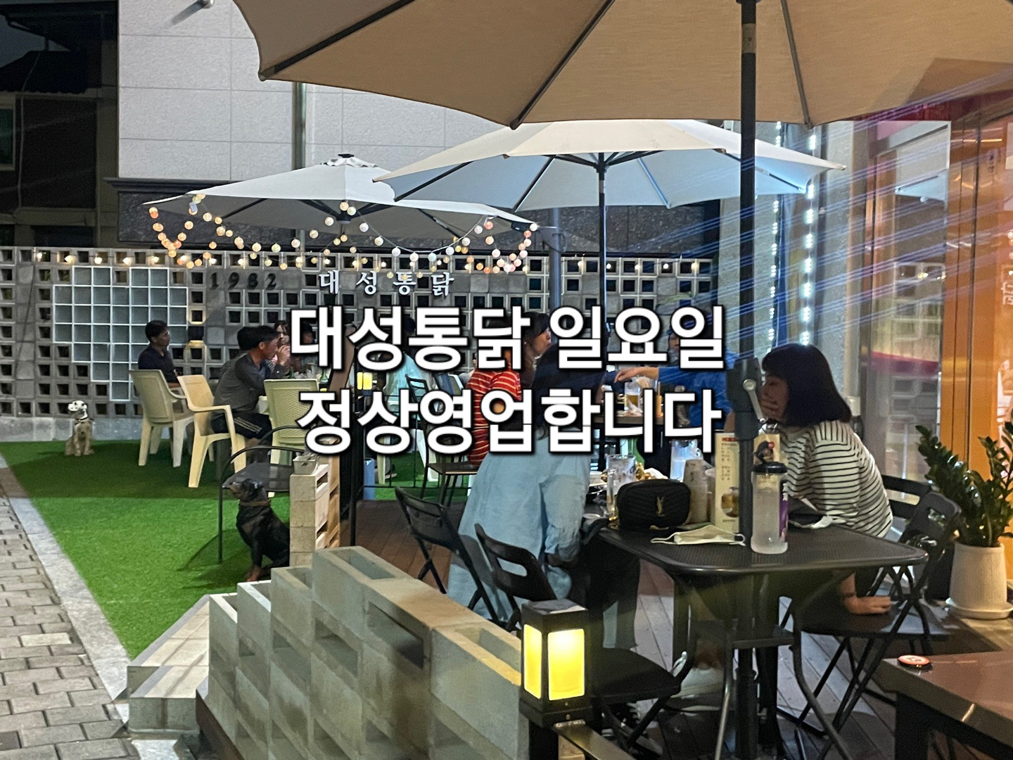 1982대성통닭 & 호프