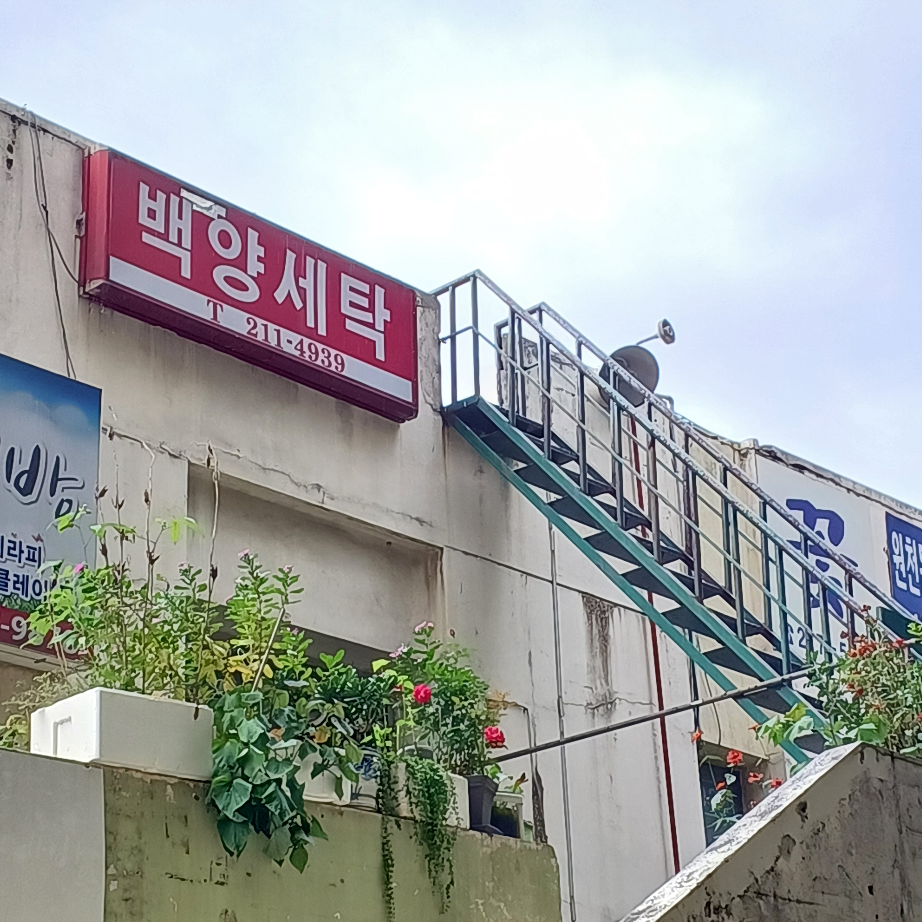 백양세탁