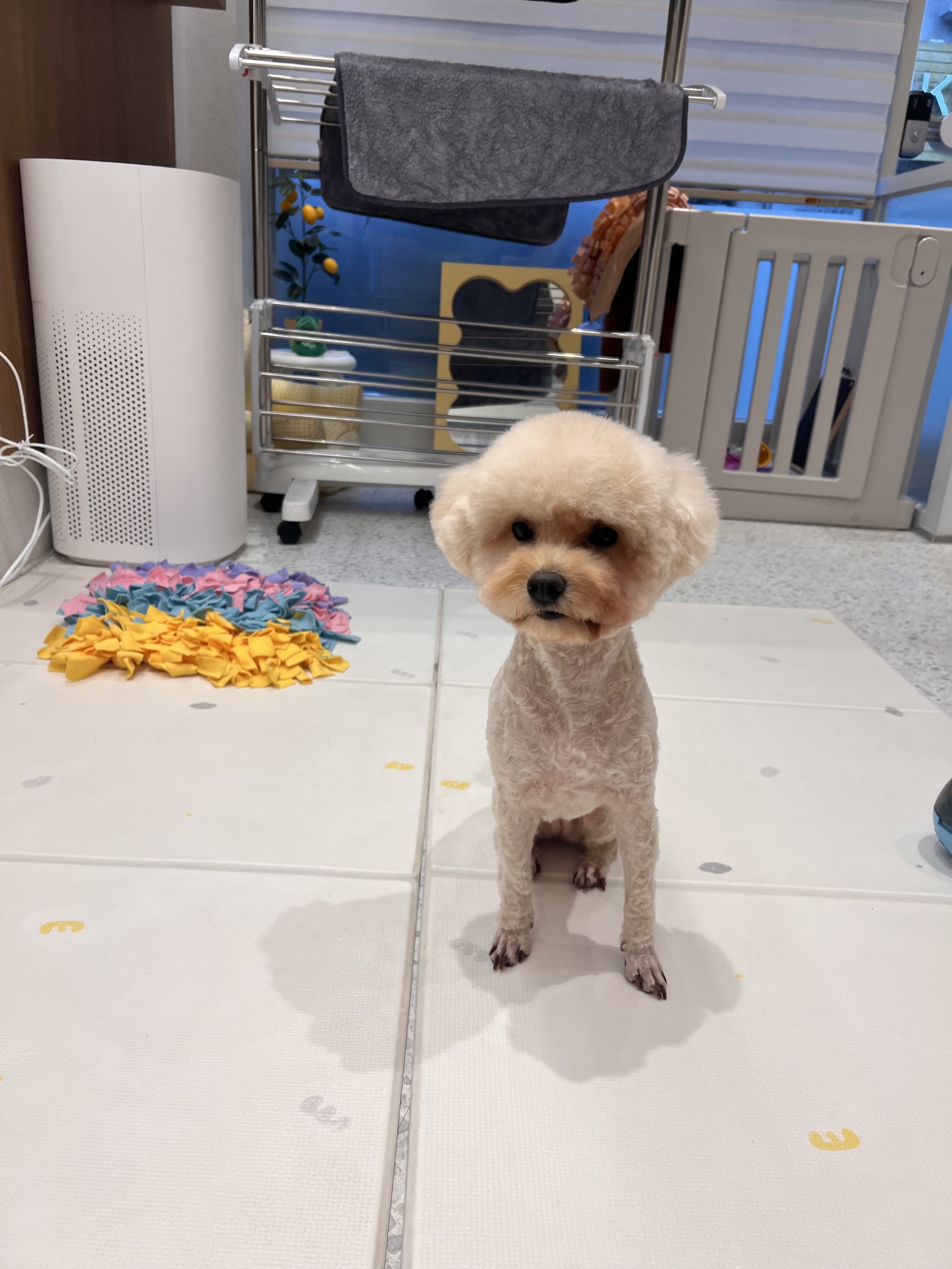 동행 대표 이미지