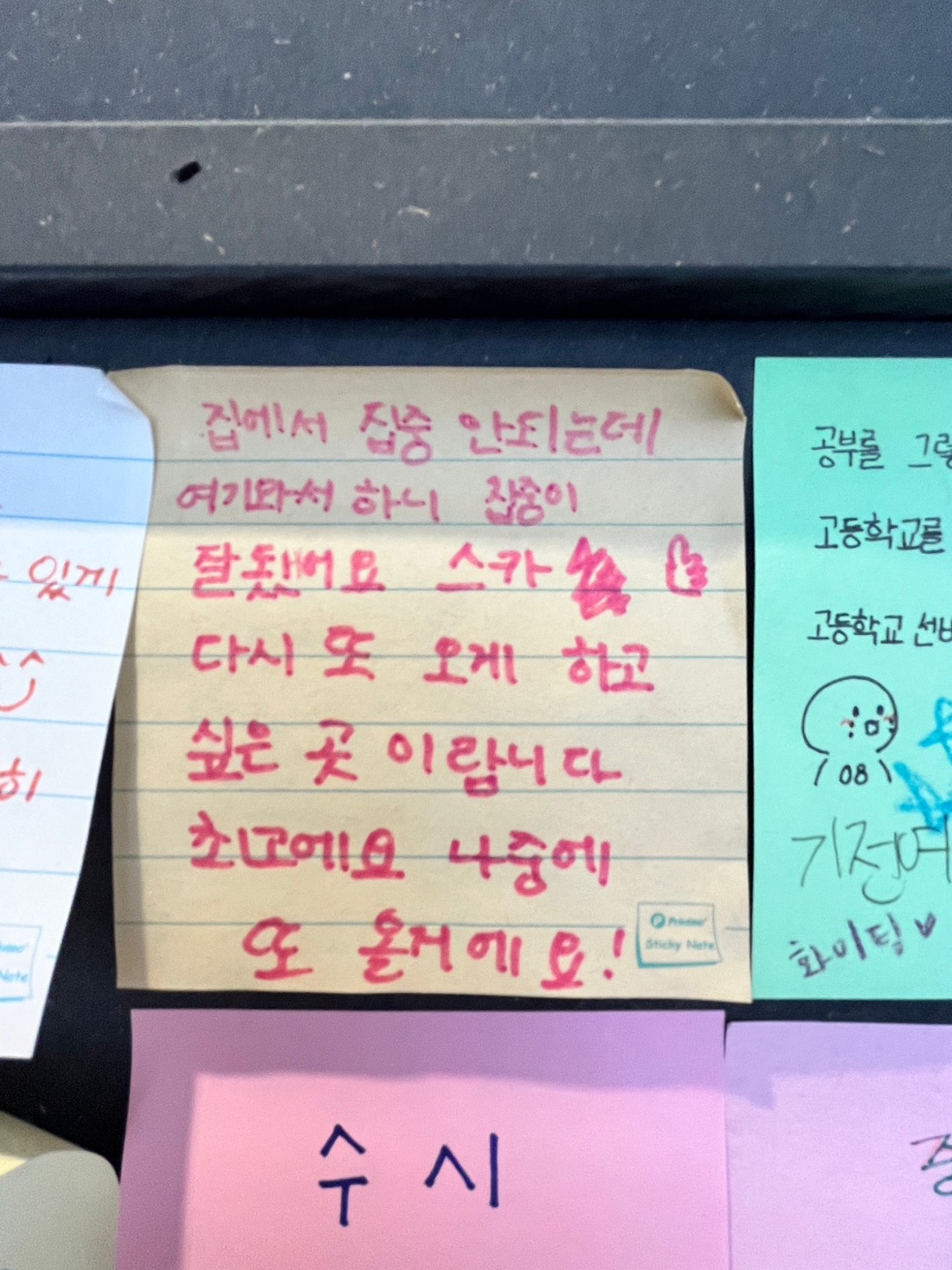 업체사진