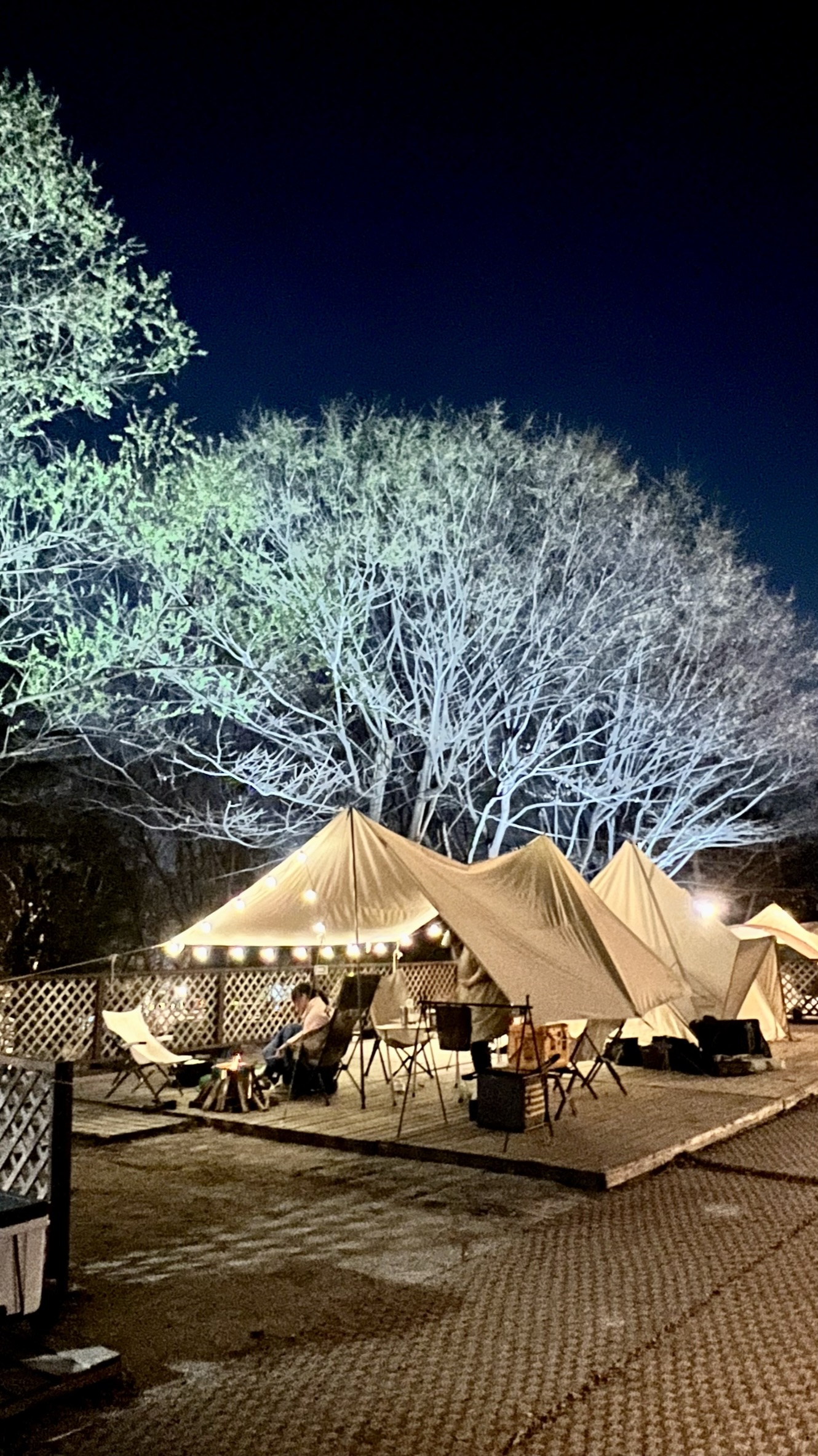 반달곰이 살던 숲