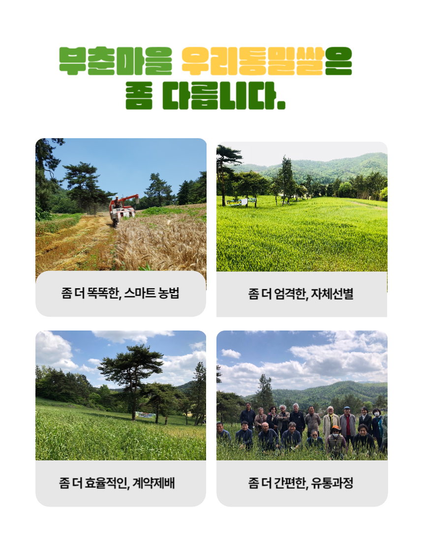 부춘마을영농조합법인