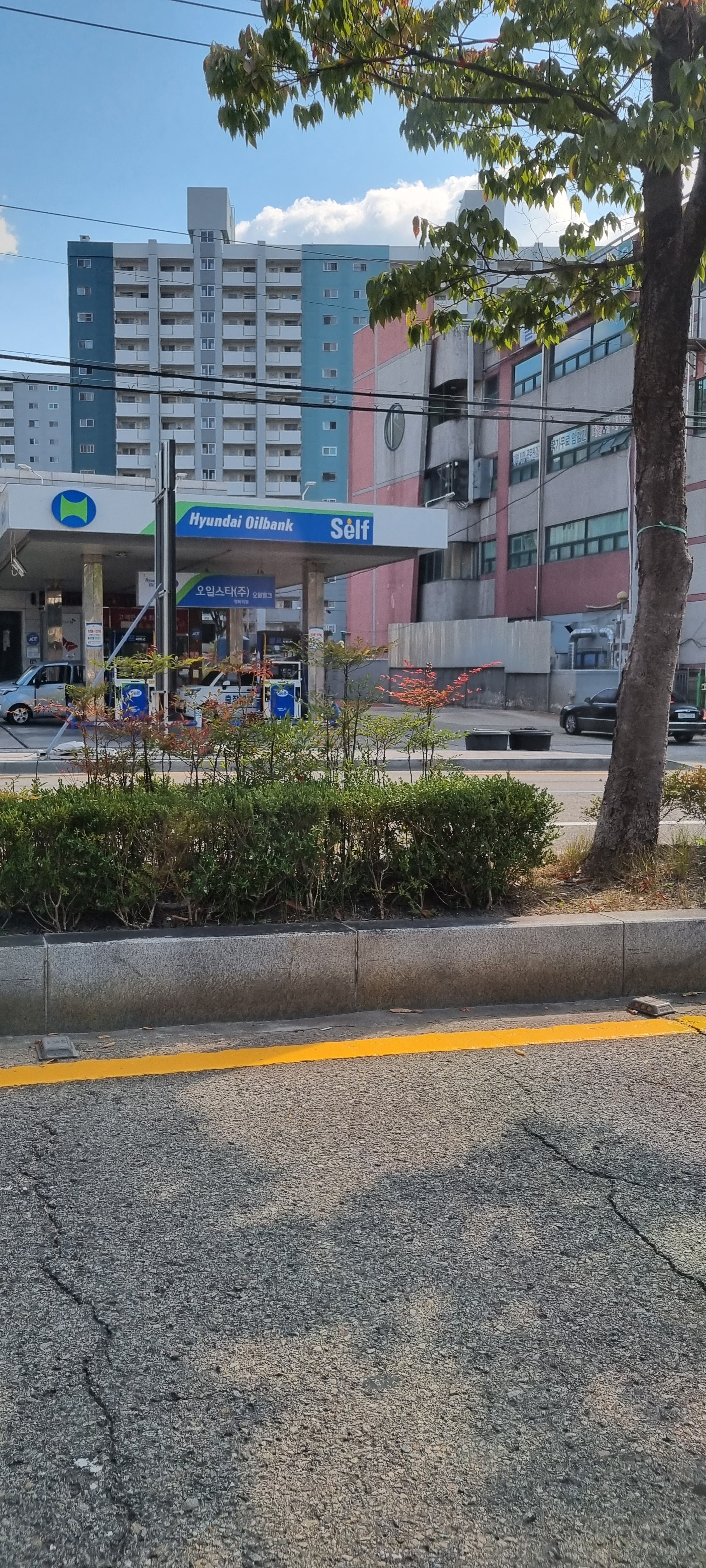 오일필드 오일스타 평화지점