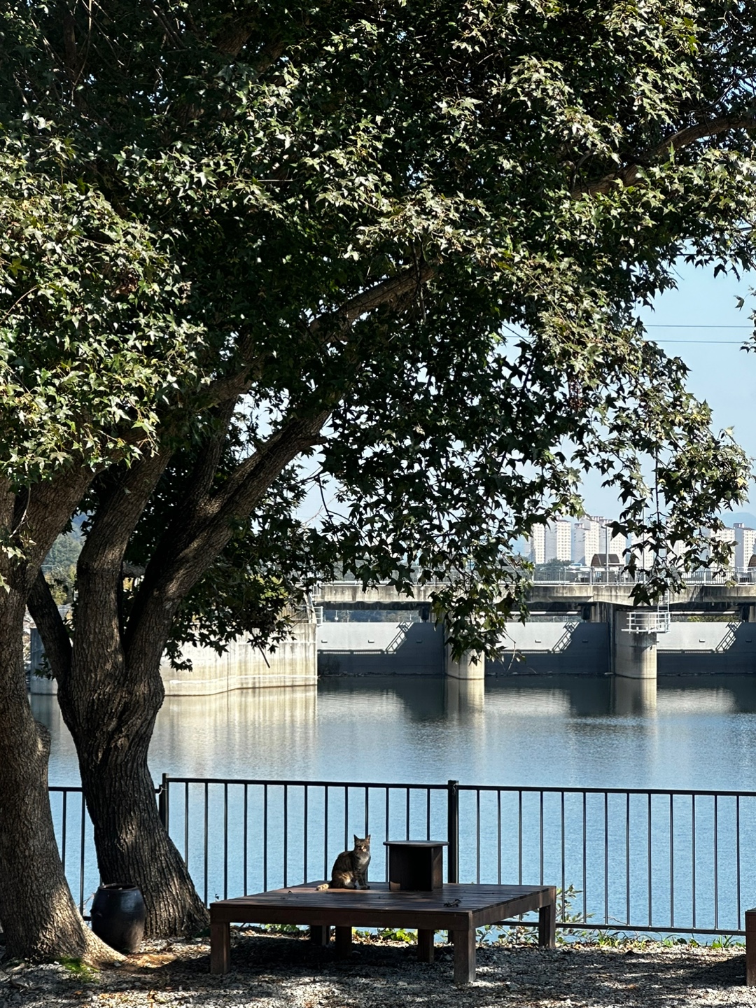 화계절 7