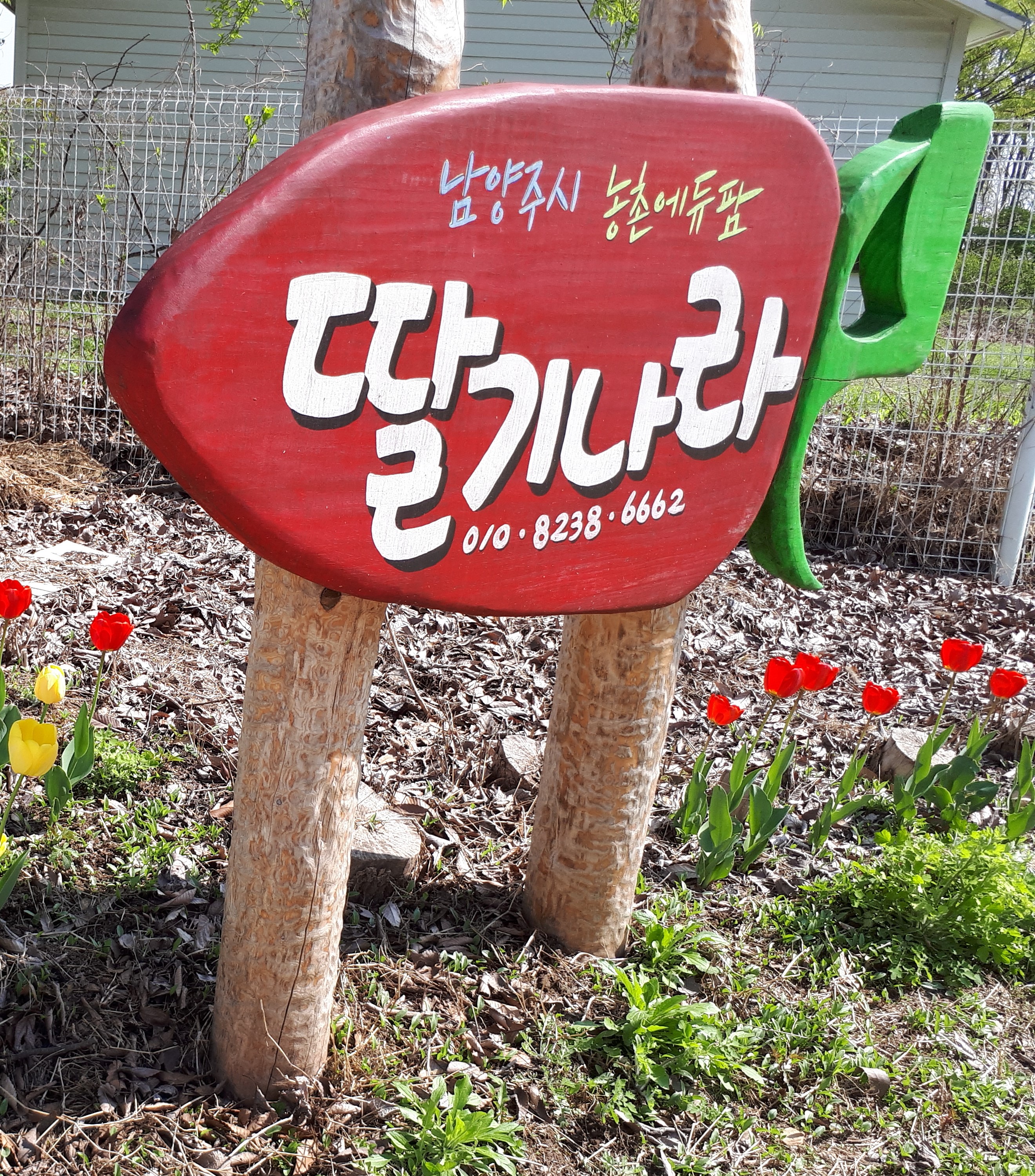 팔당유기농딸기나라 체험농장