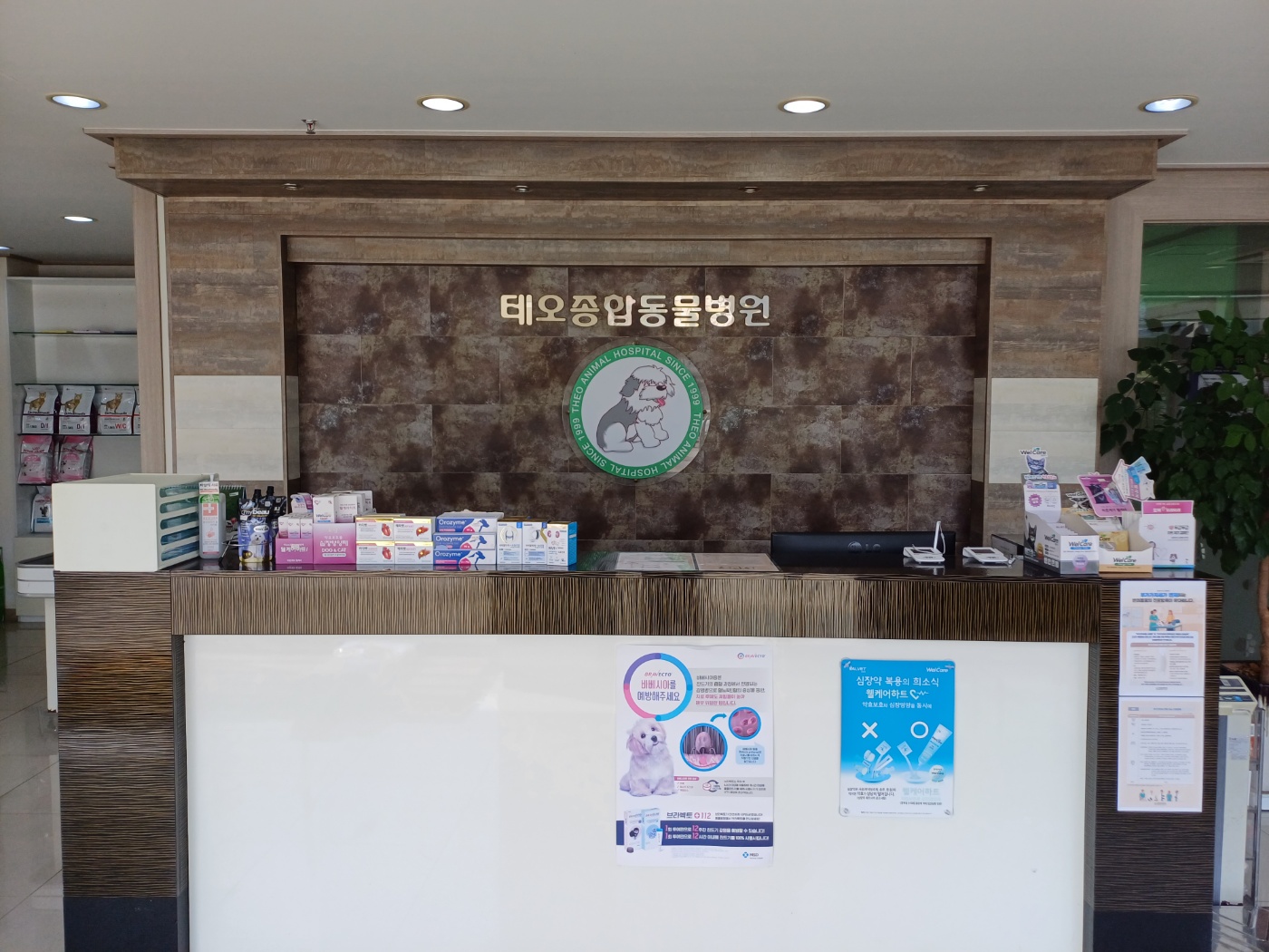 테오동물병원