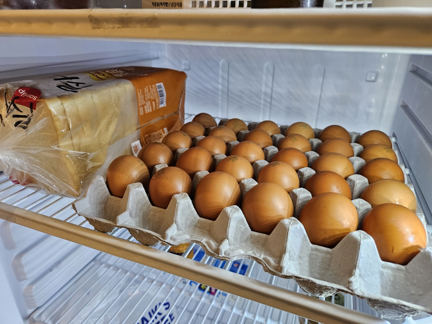 업체사진
